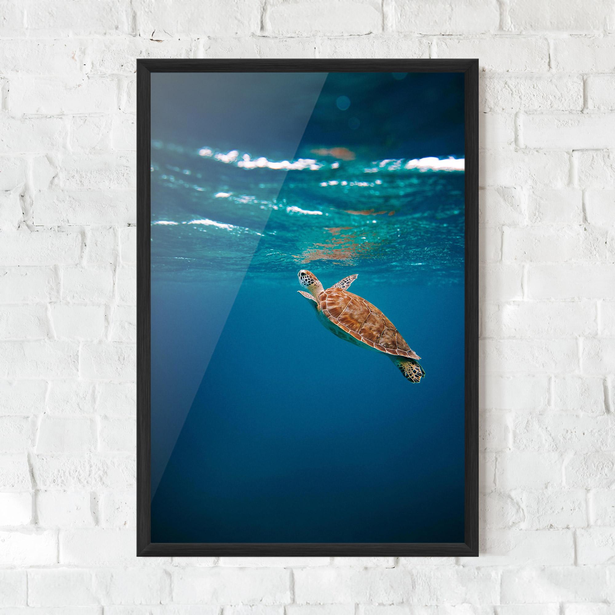 Poster Înrămat Water Turtle mockup 0
