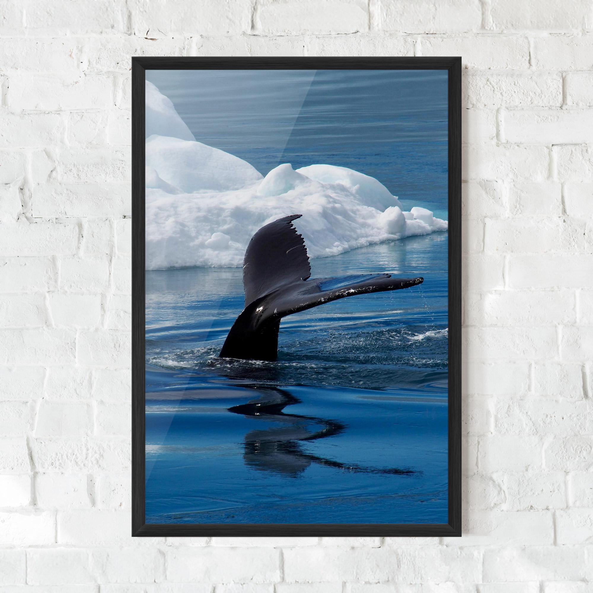 Poster Înrămat Whale Tail mockup 0