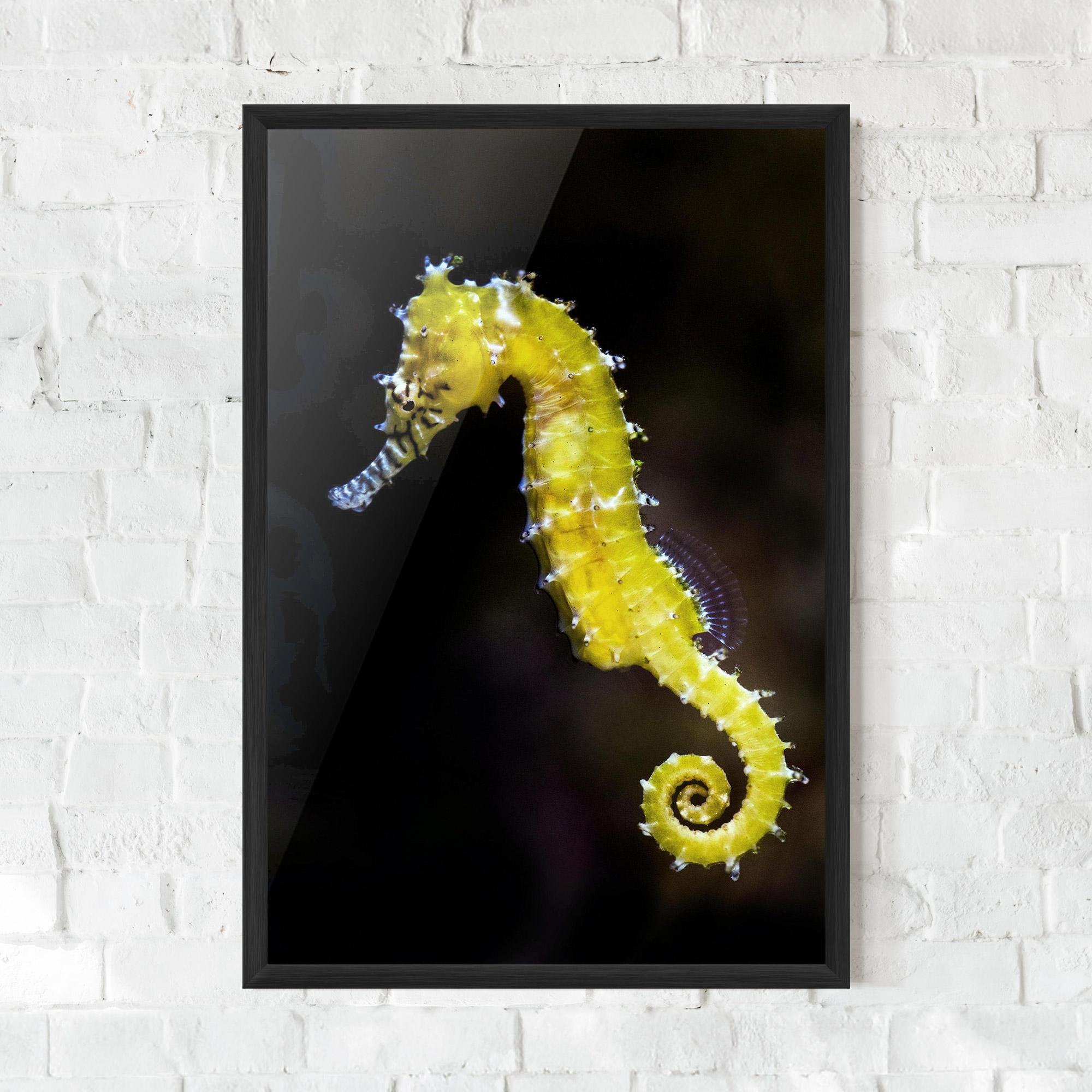 Poster Înrămat Yellow Seahorse mockup 0