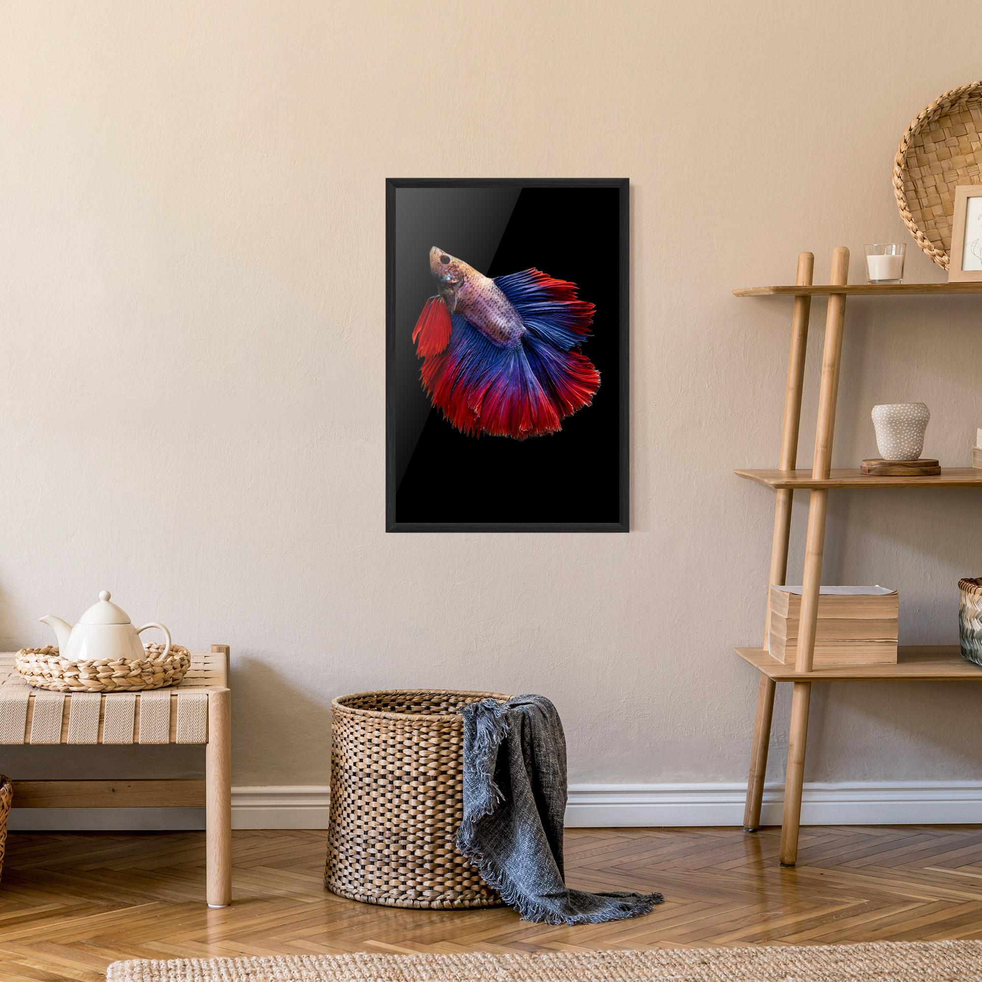 Poster Înrămat Red Blue Betta mockup 9