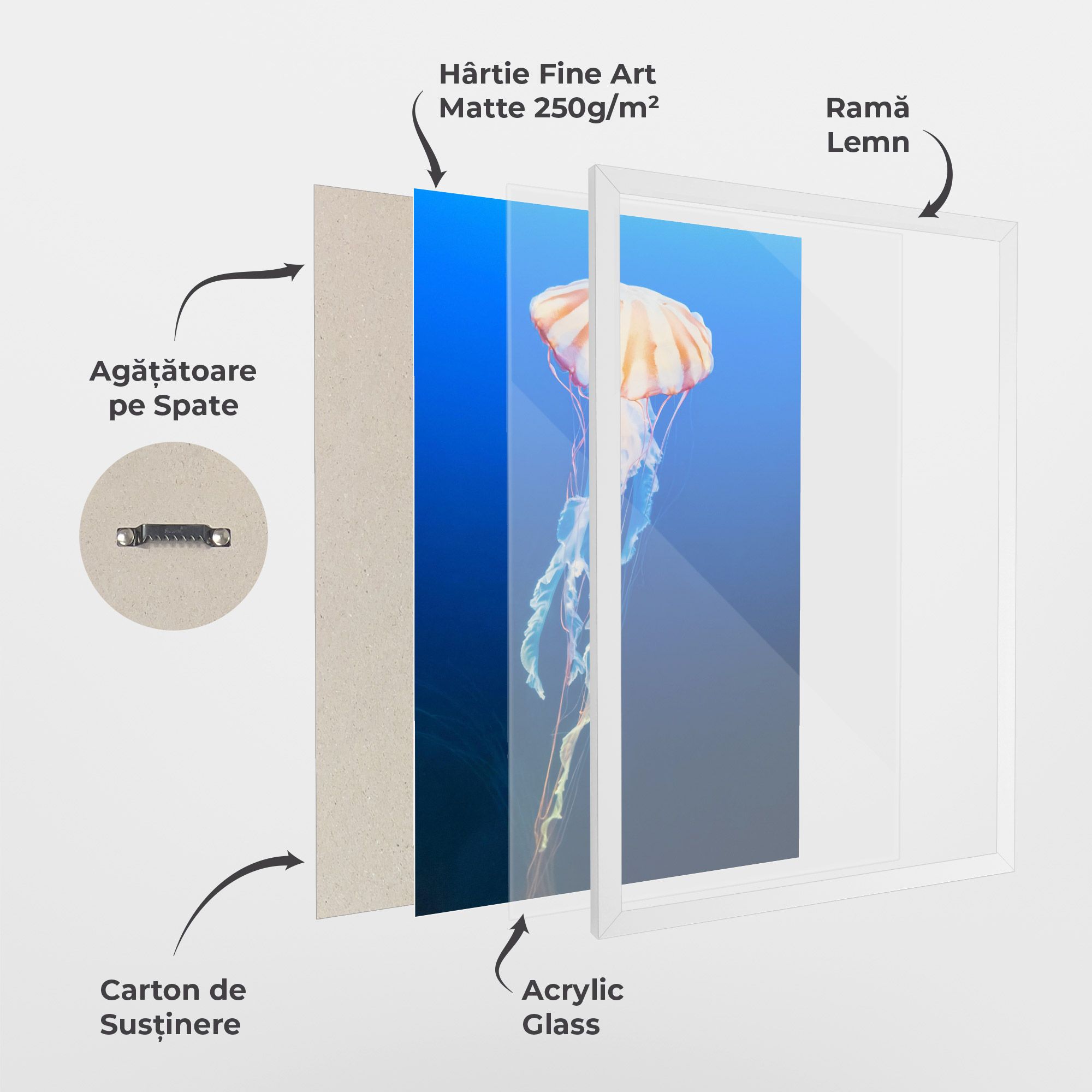 Cream Jellyfish mockup 1