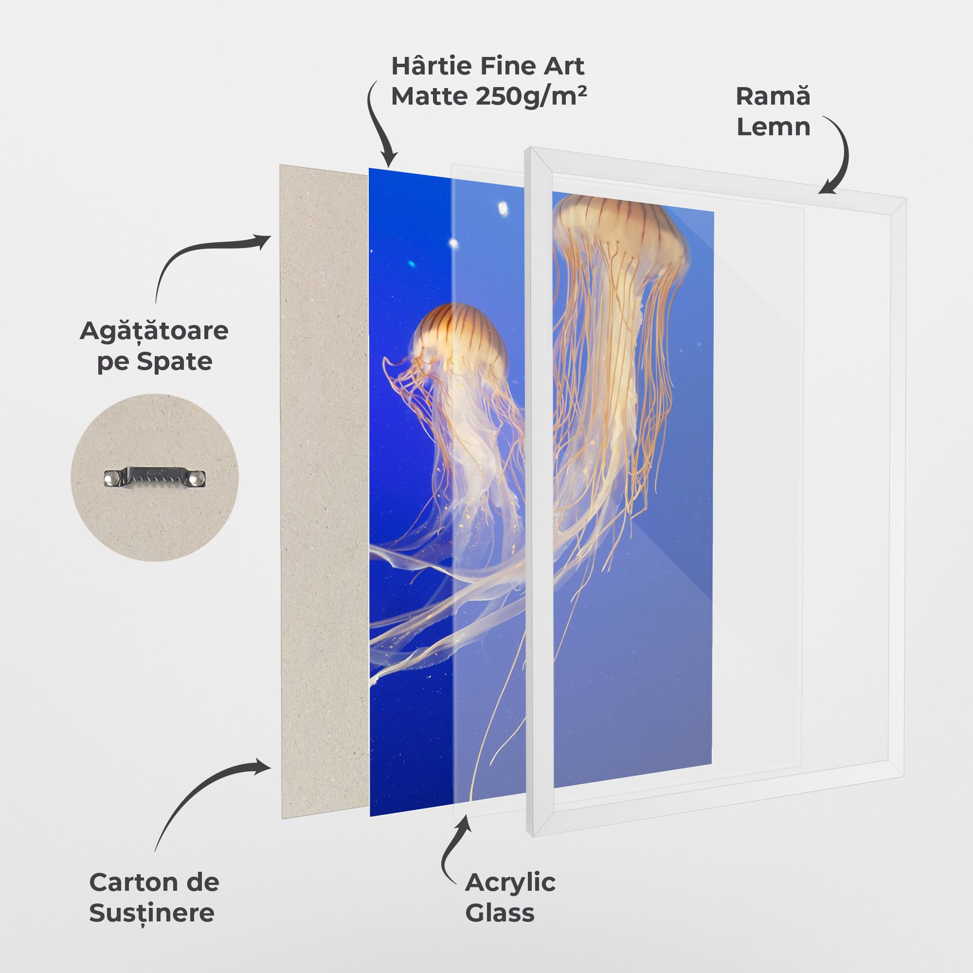 Light Orange Jellyfish mockup 1