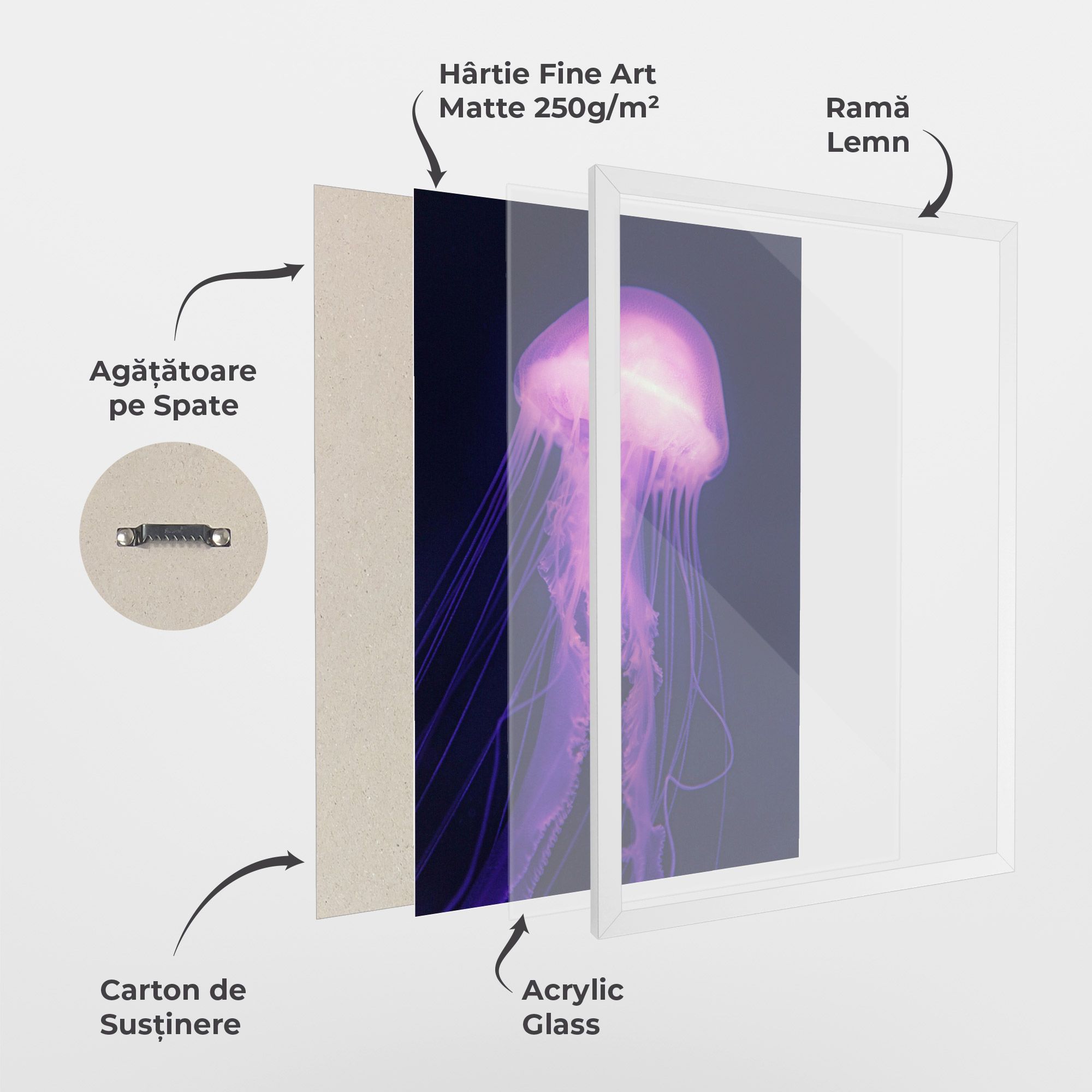 Light Purple Jellyfish mockup 1