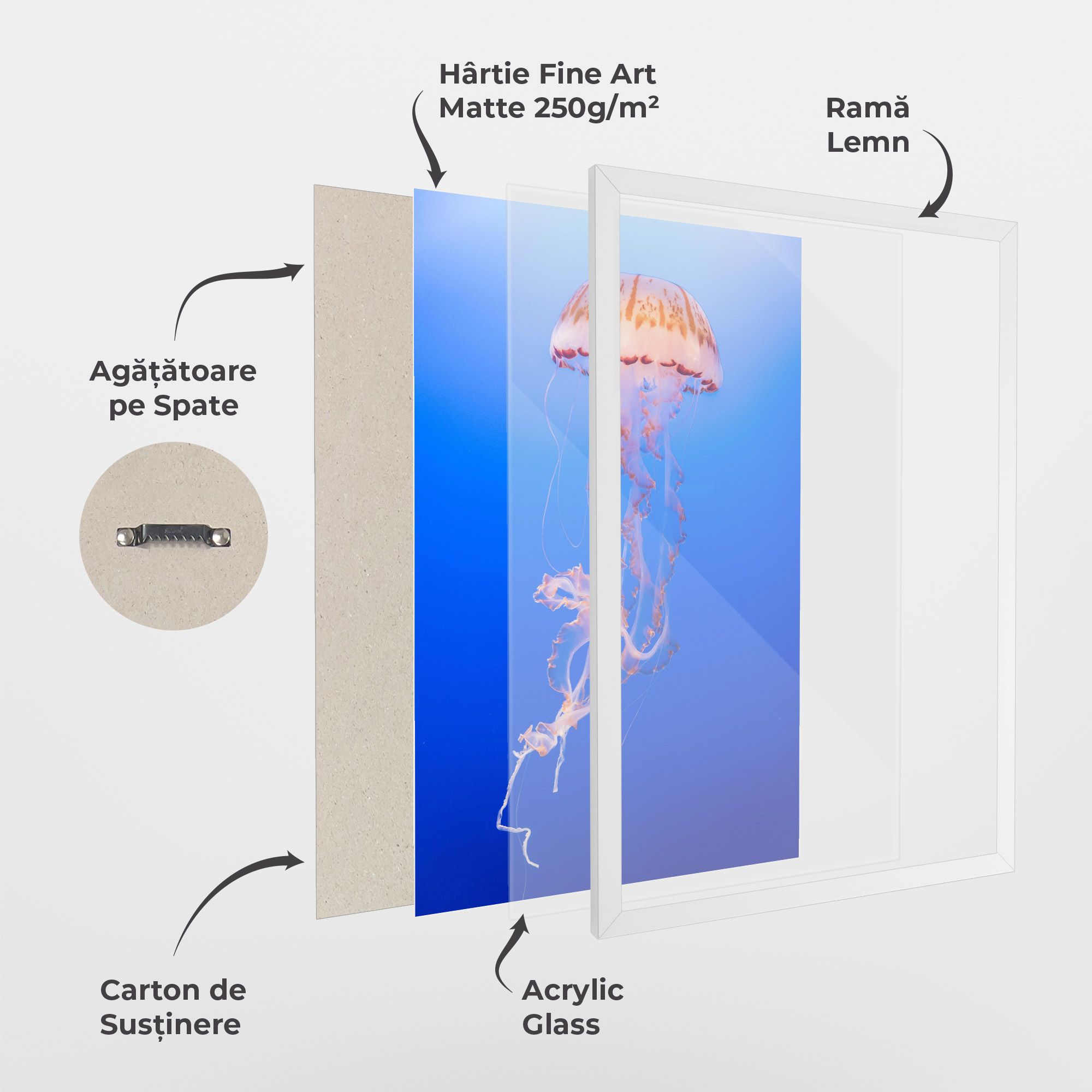 Pretty White Jellyfish mockup 1