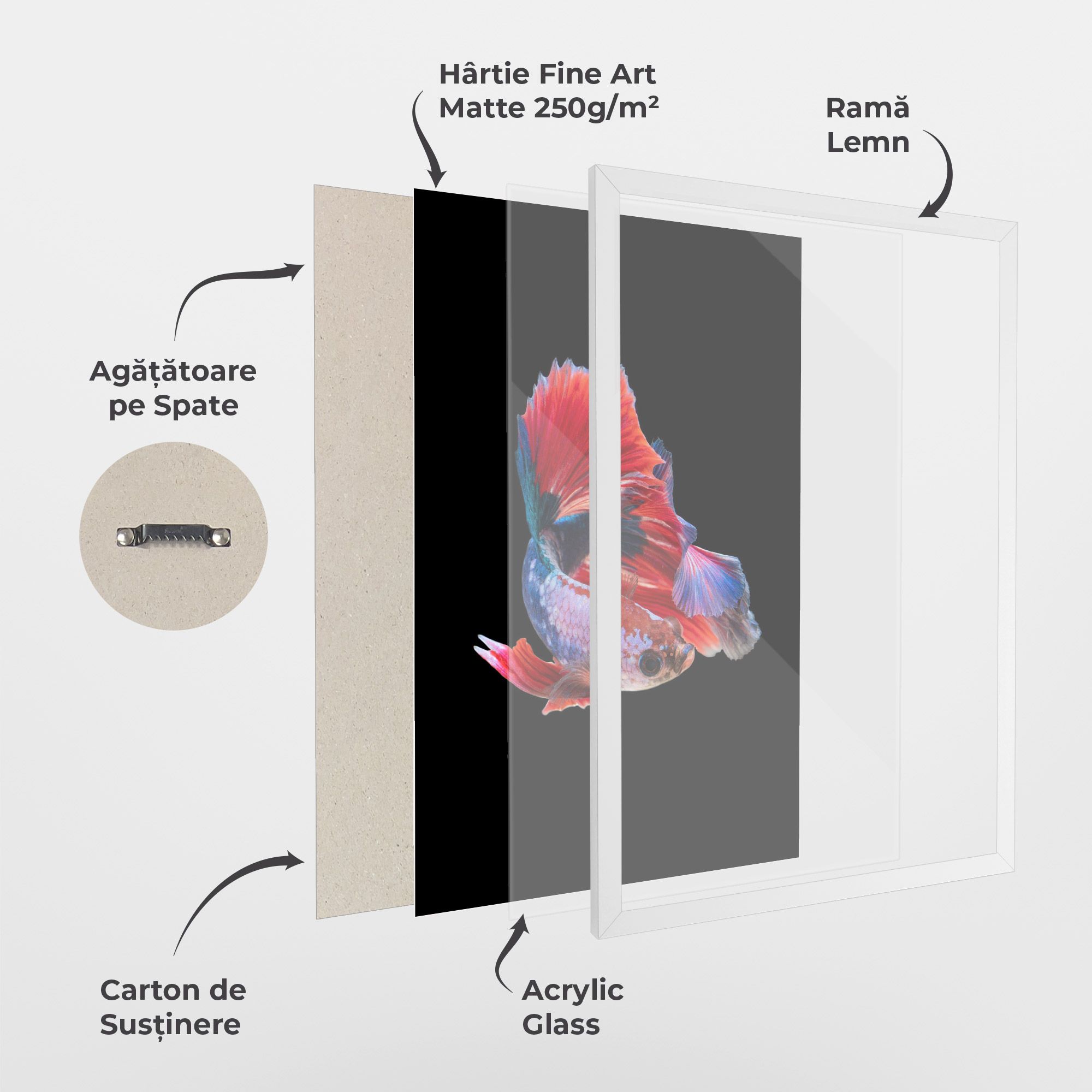 Red Black Betta mockup 1