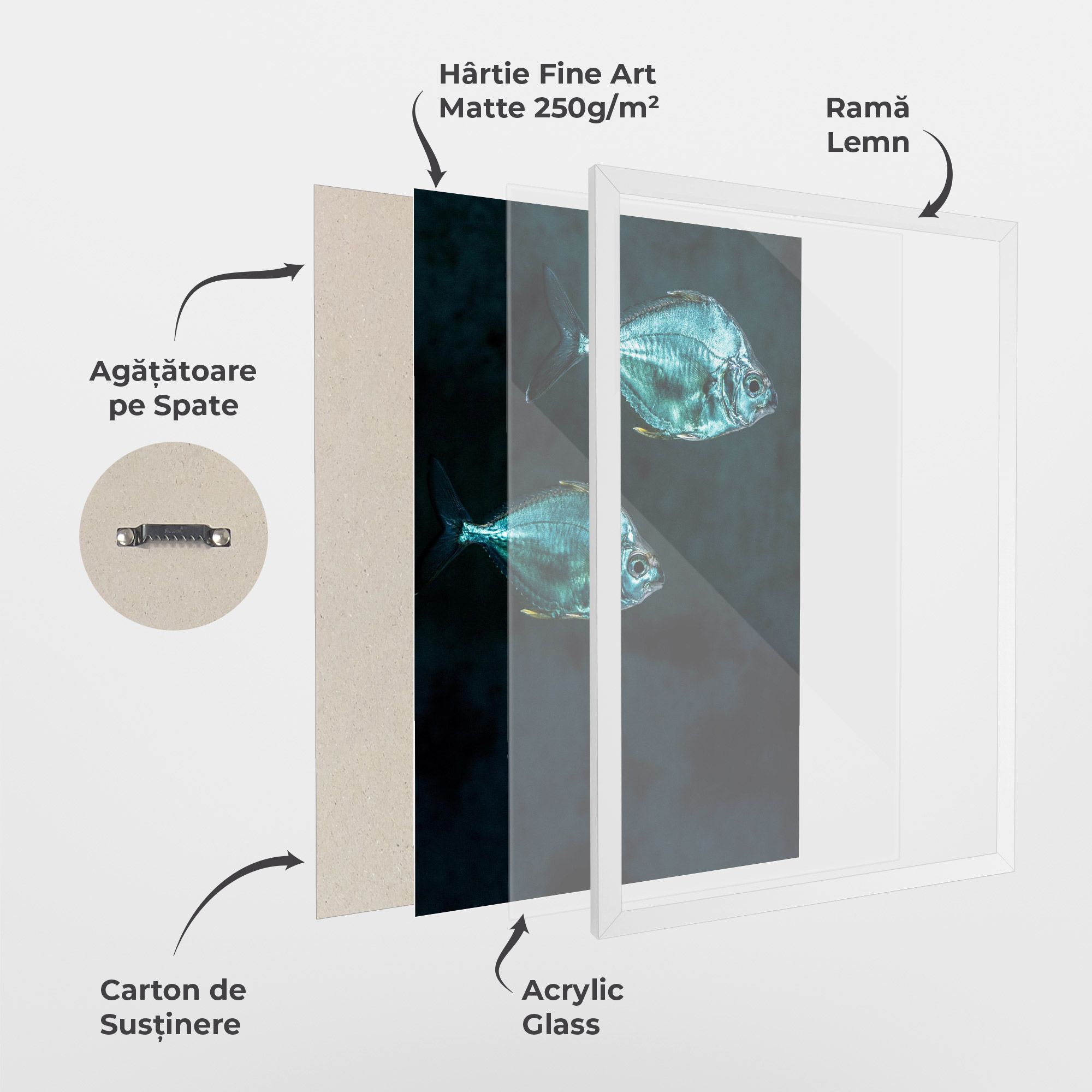 Silver Fish mockup 1