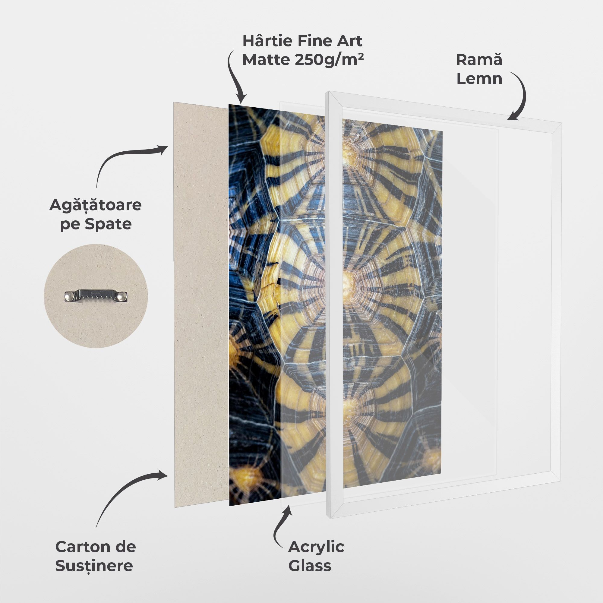 Turtle Shell mockup 1