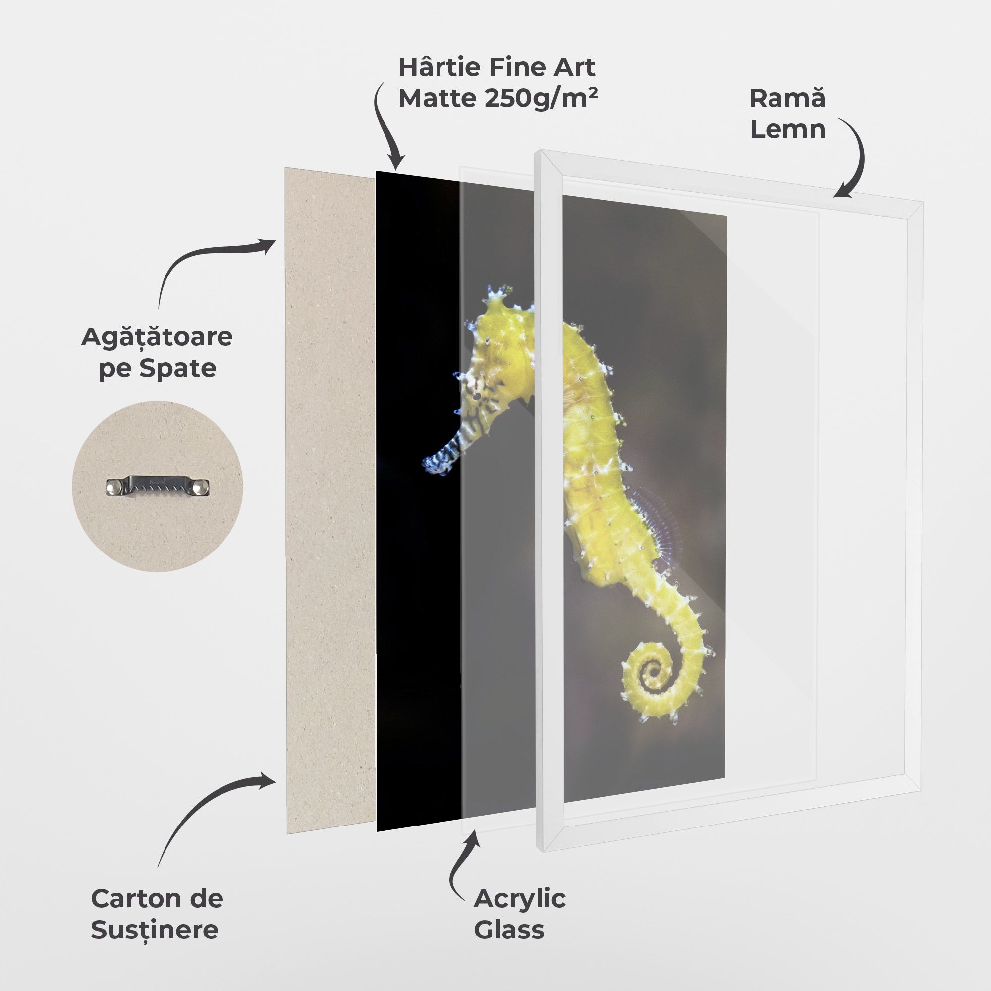 Yellow Seahorse mockup 1