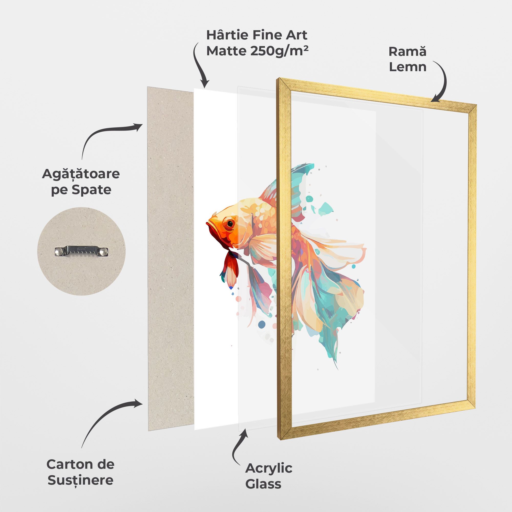 Blue Orange Fish mockup 1