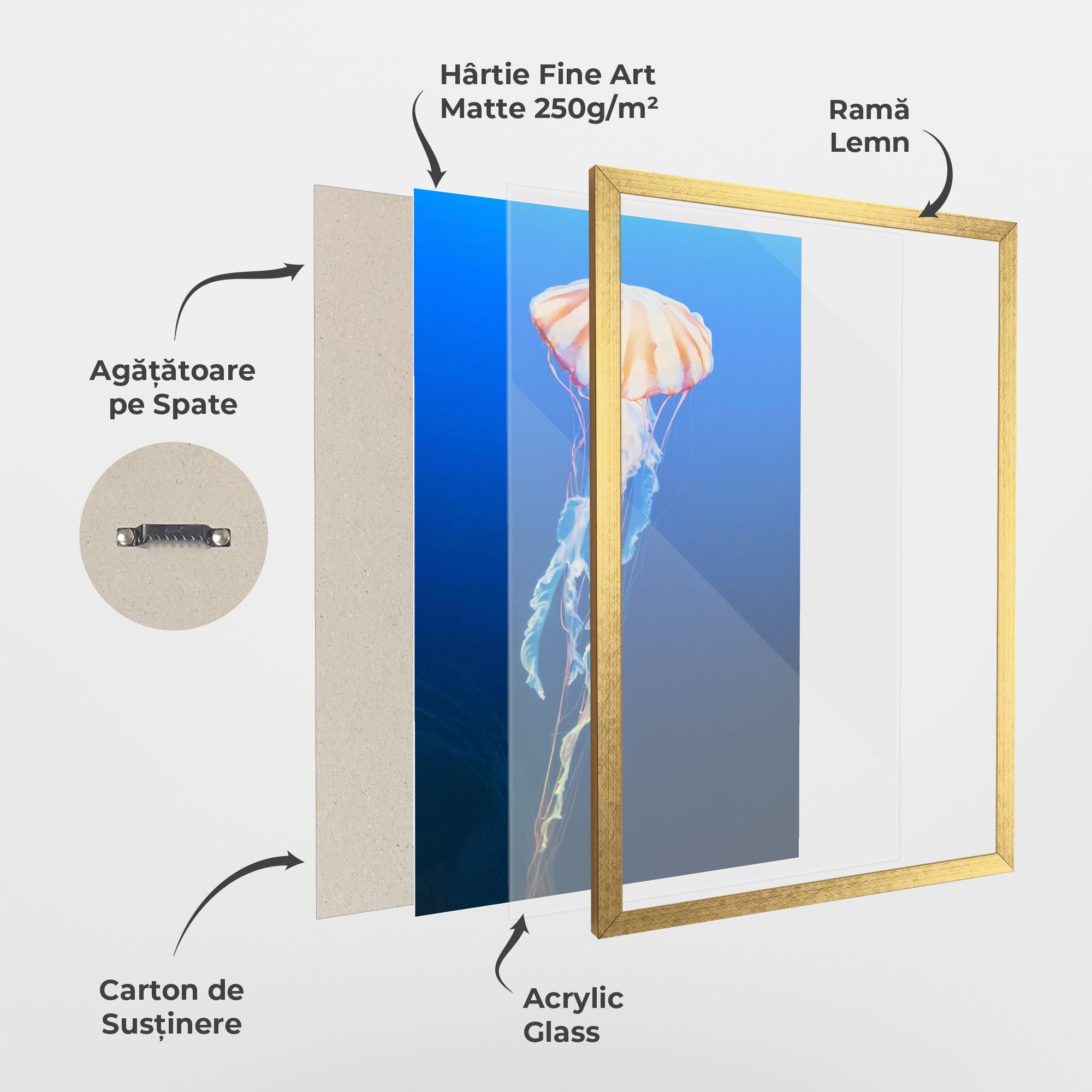 Cream Jellyfish mockup 1