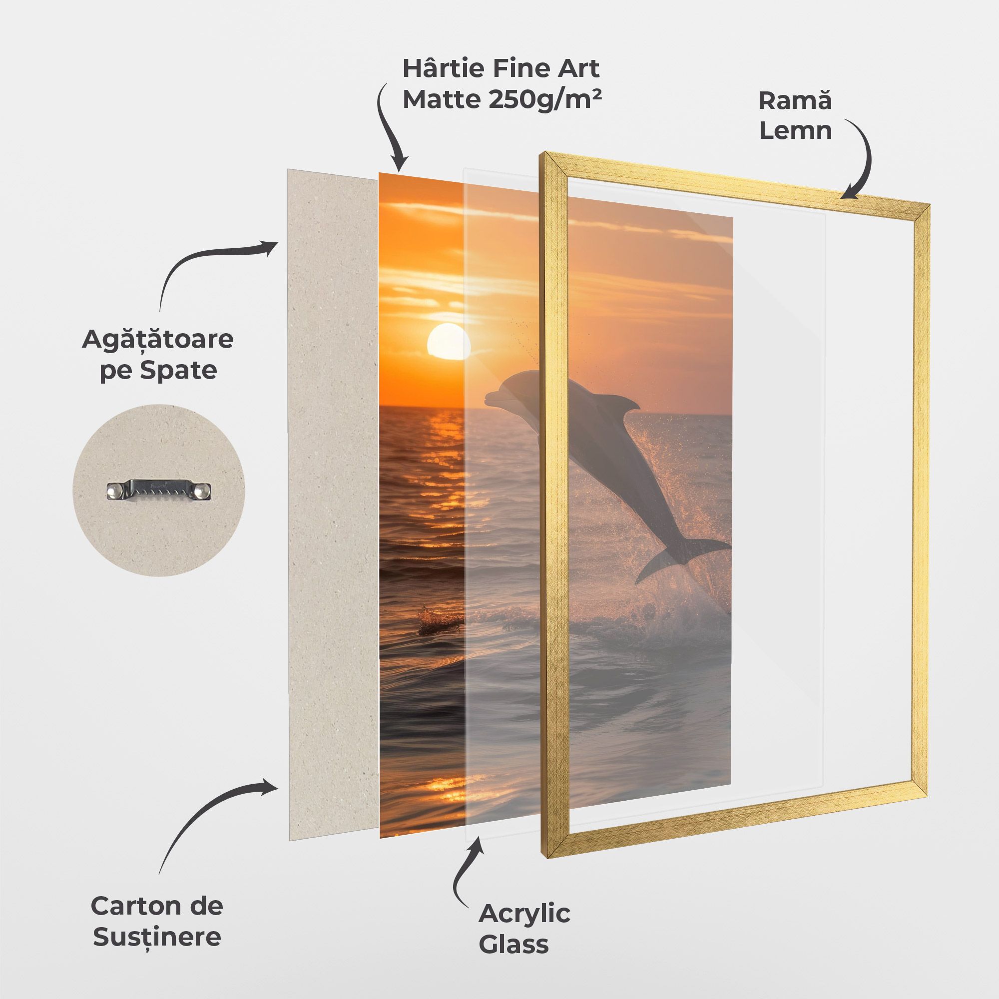 Dolphin Jump mockup 1