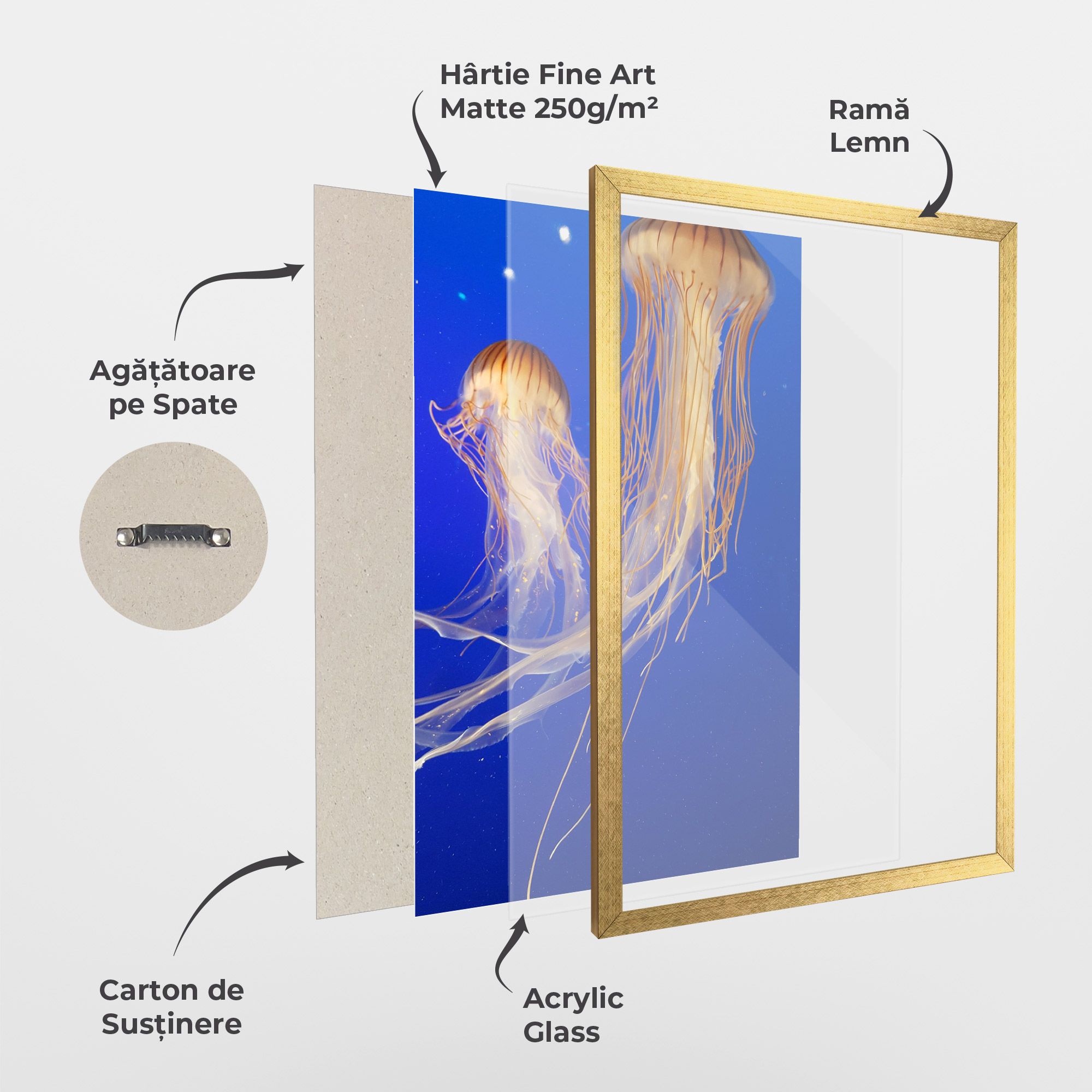 Light Orange Jellyfish mockup 1