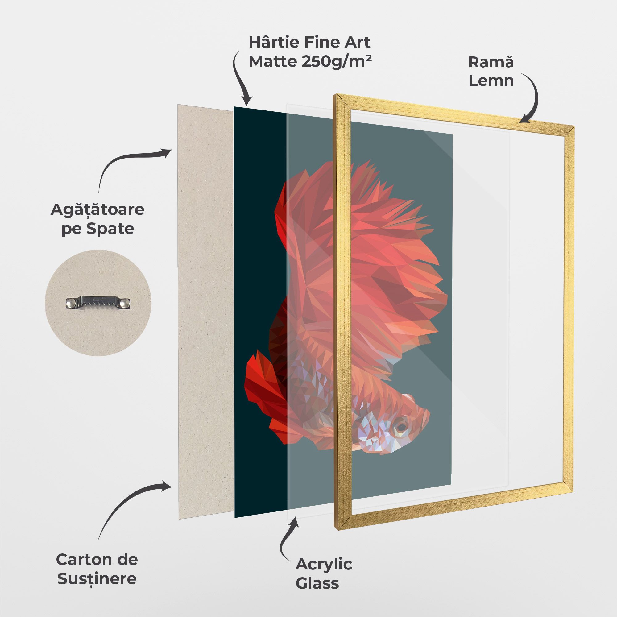 Orange Fish mockup 1