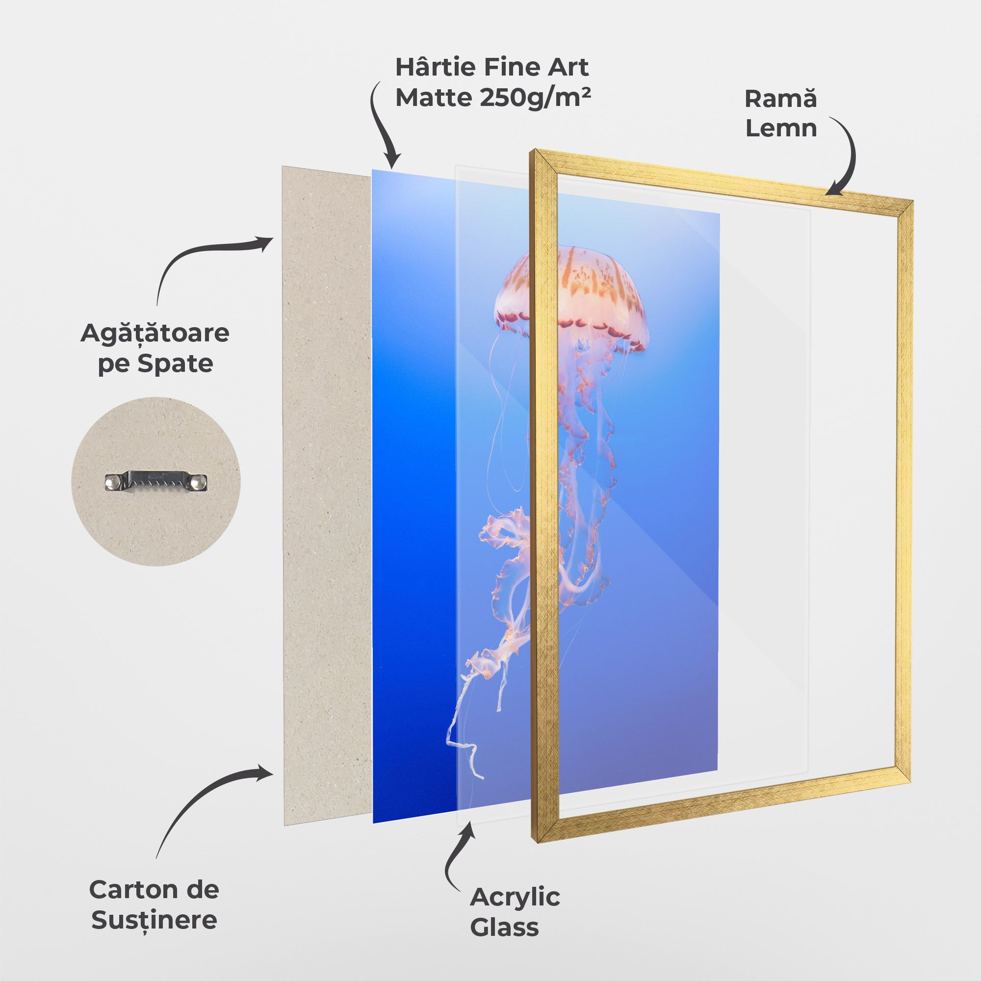 Pretty White Jellyfish mockup 1