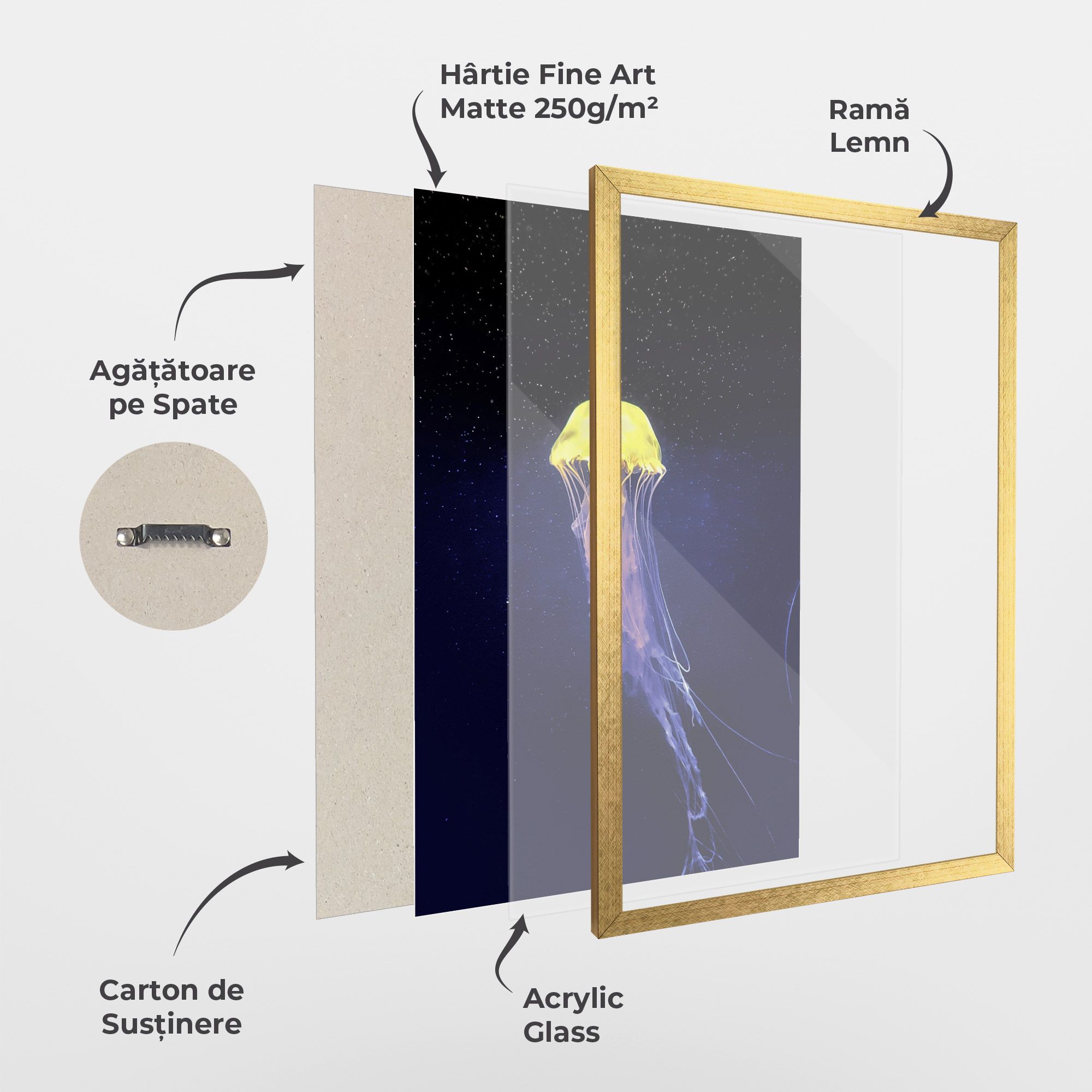 Purple Jellyfish mockup 1