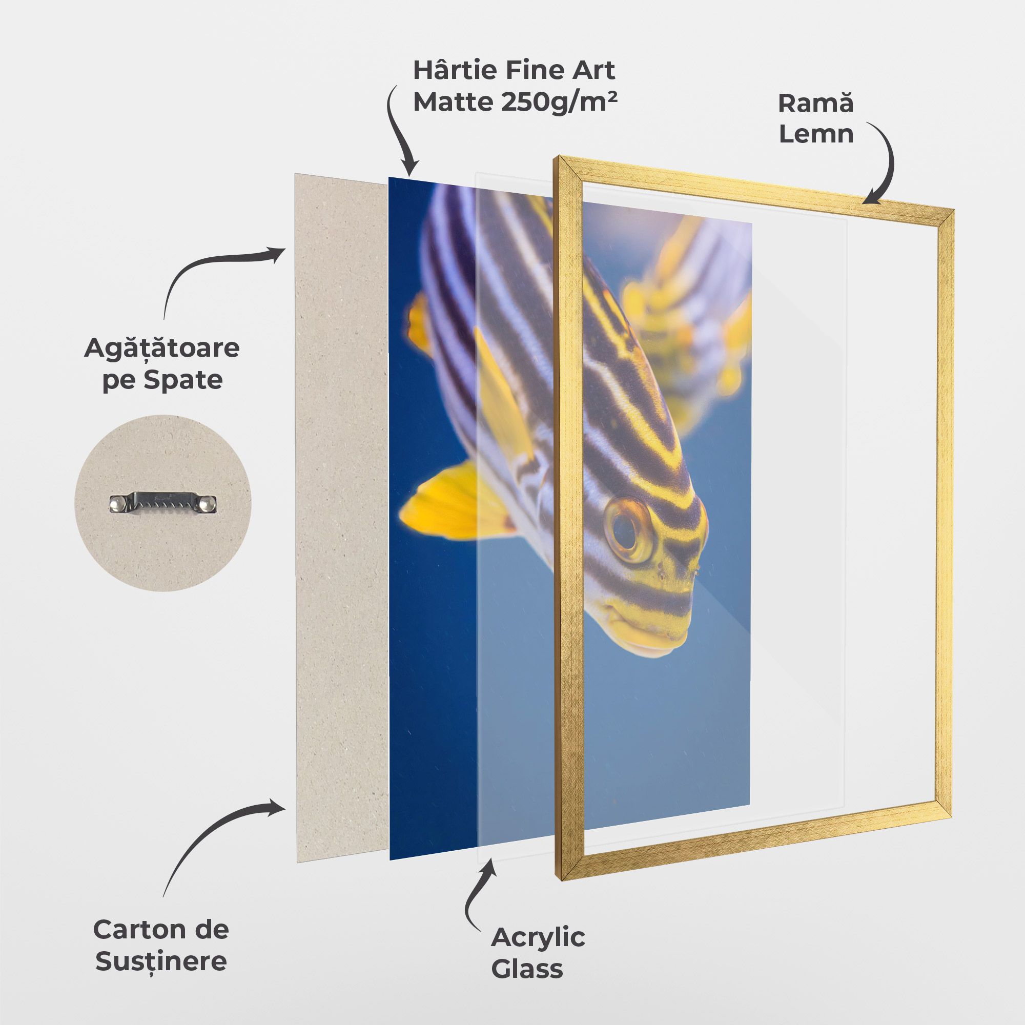 Purple Yellow Fish mockup 1