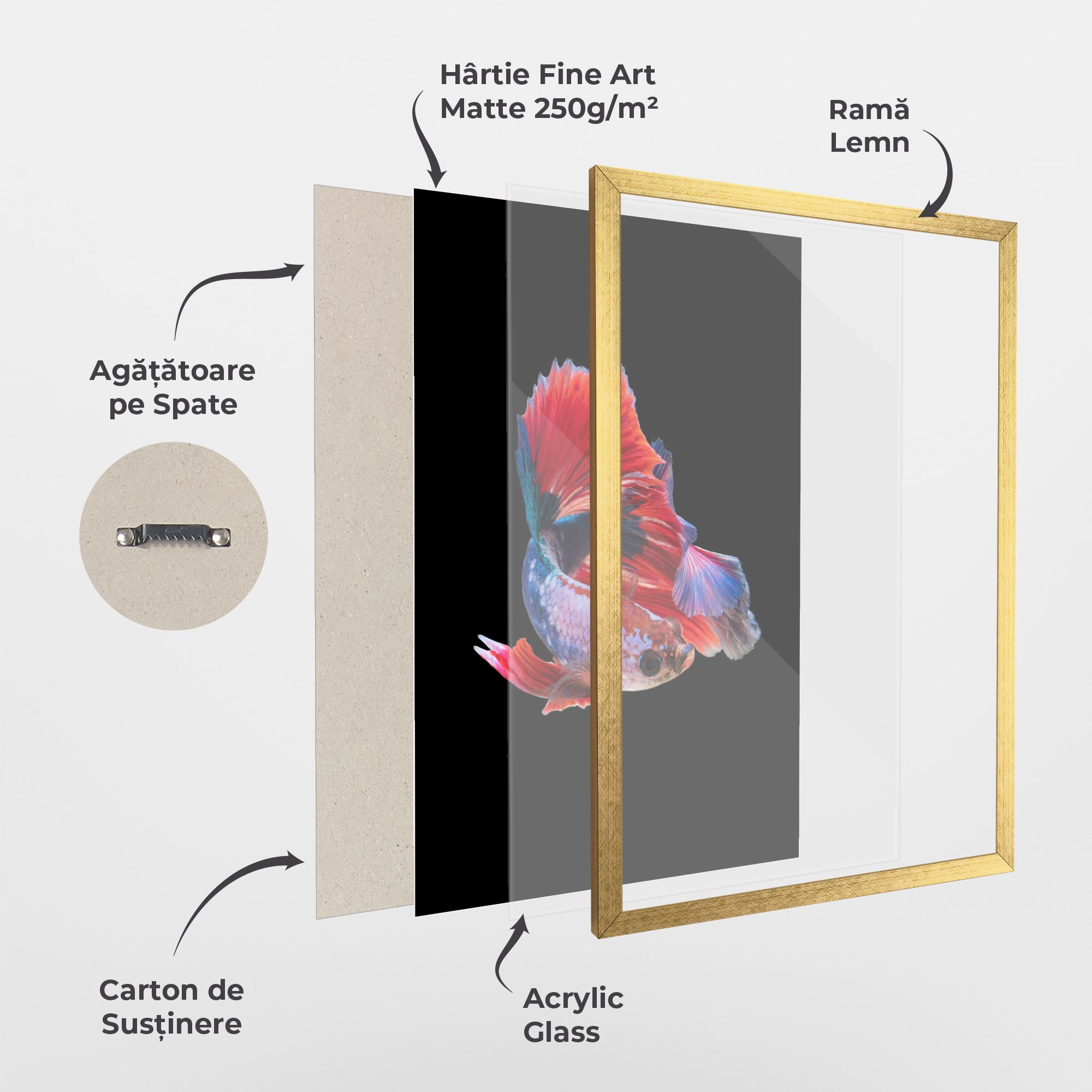 Red Black Betta mockup 1