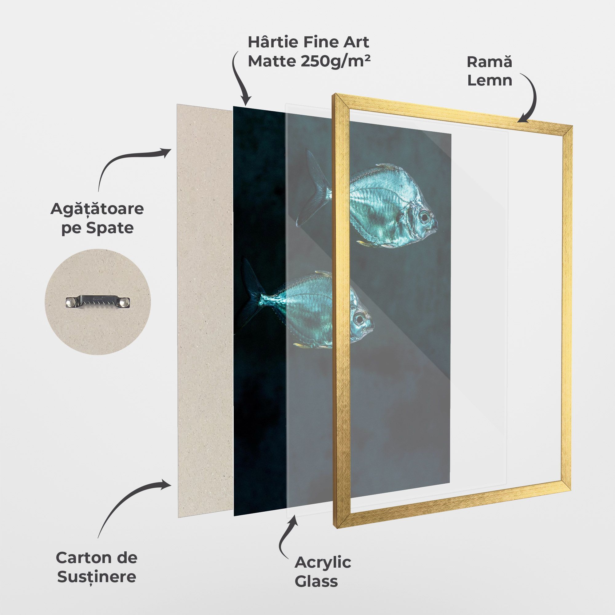 Silver Fish mockup 1