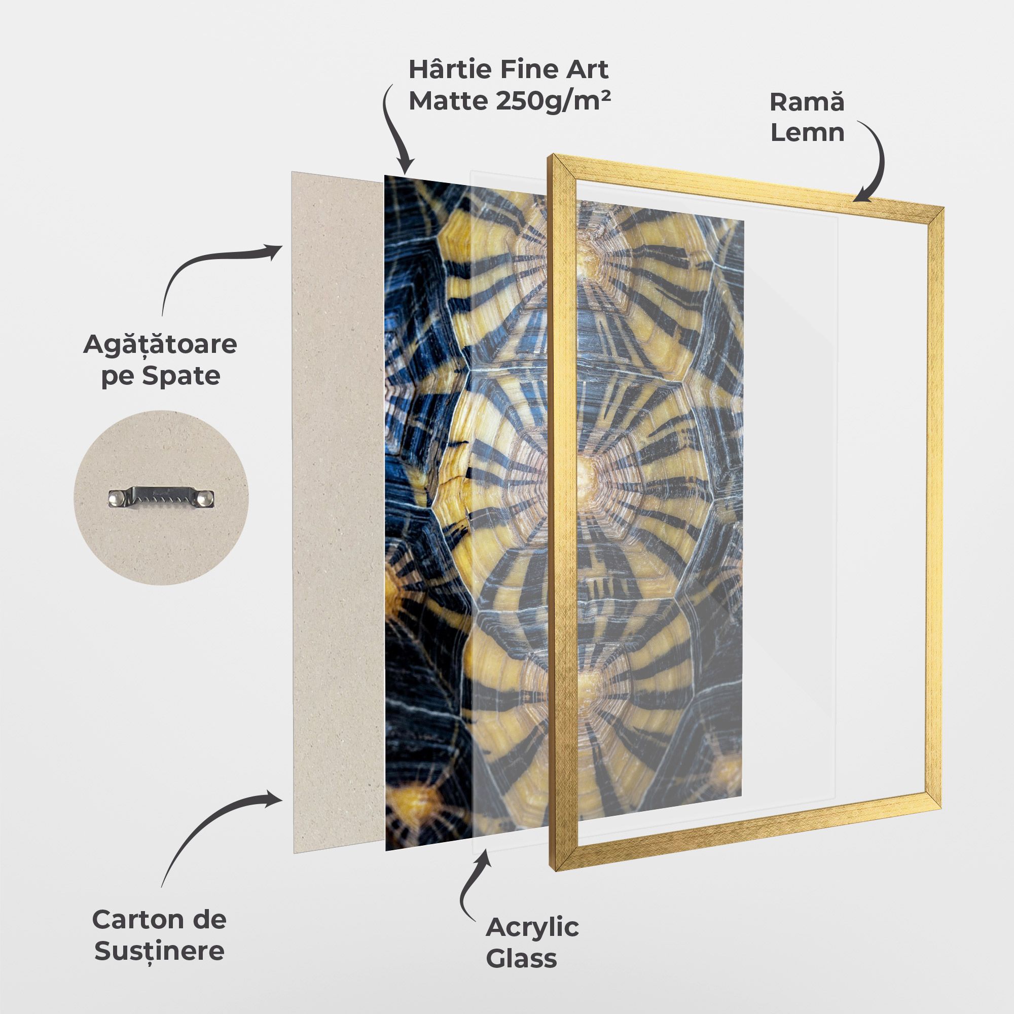 Turtle Shell mockup 1