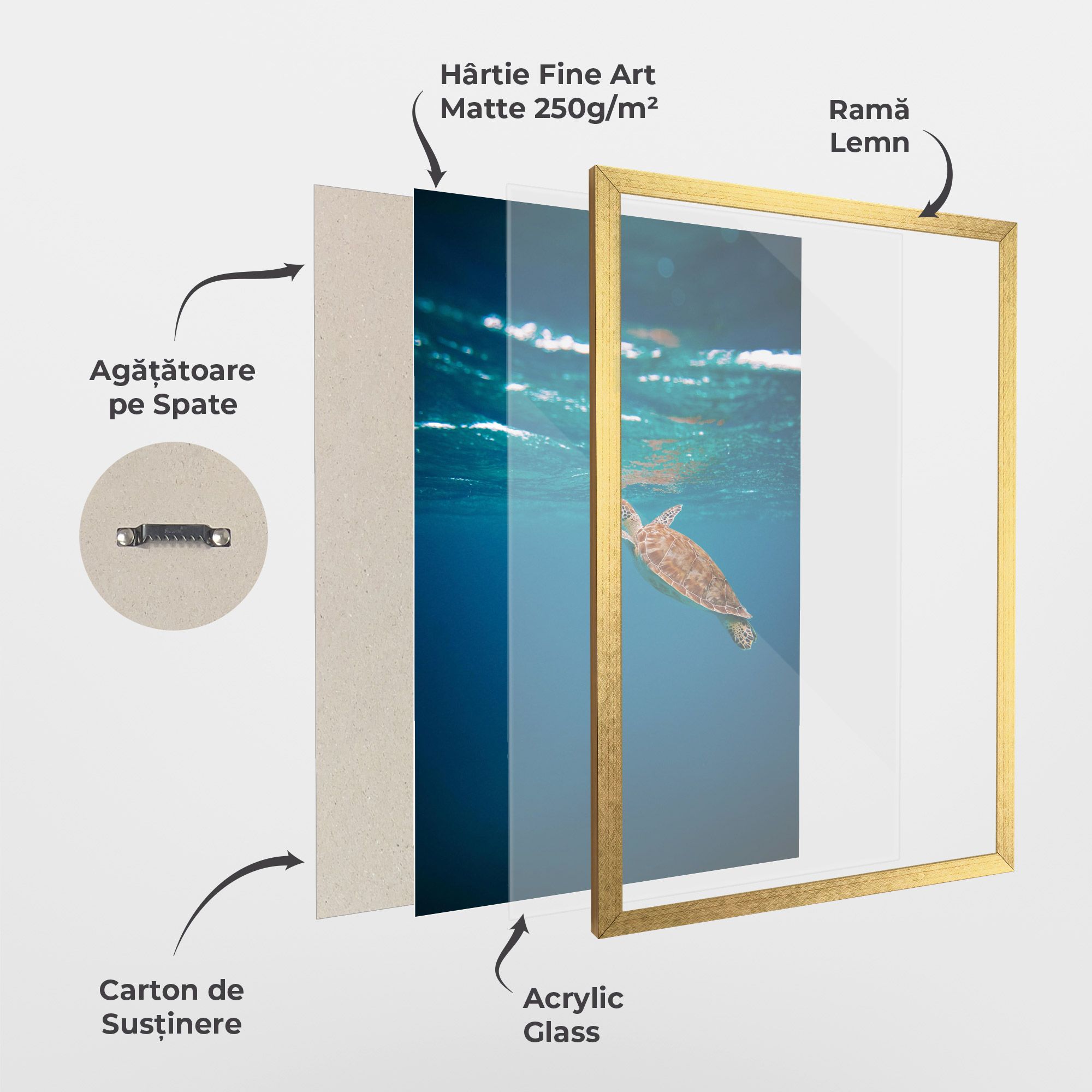 Water Turtle mockup 1