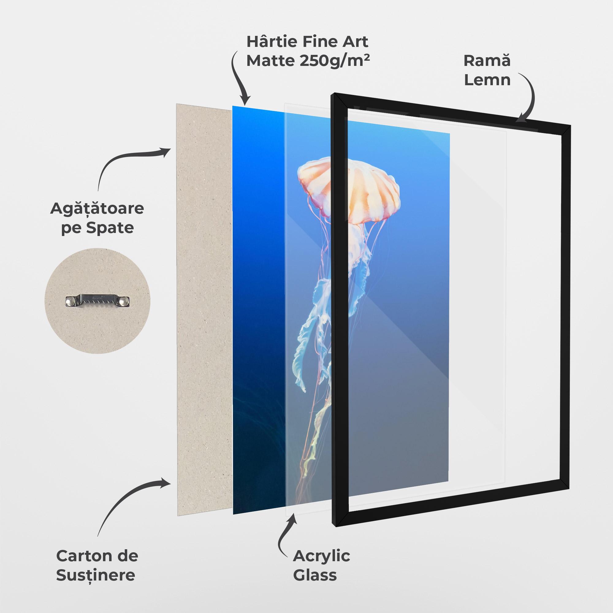 Poster Înrămat Cream Jellyfish mockup 1