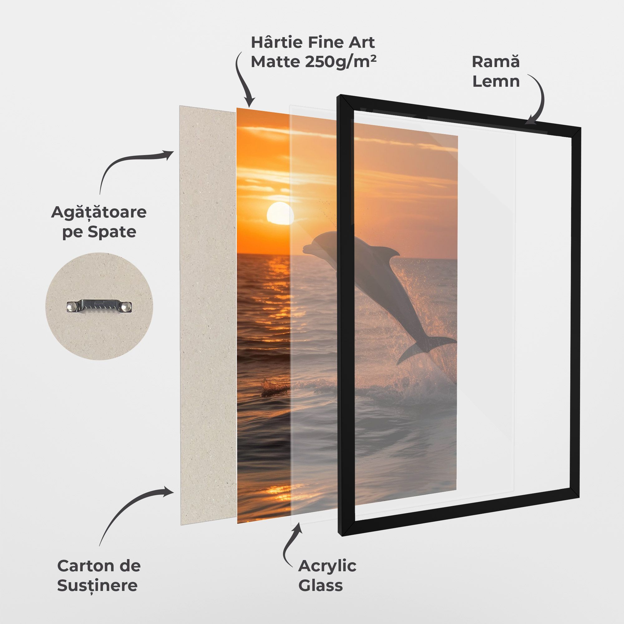 Dolphin Jump mockup 1