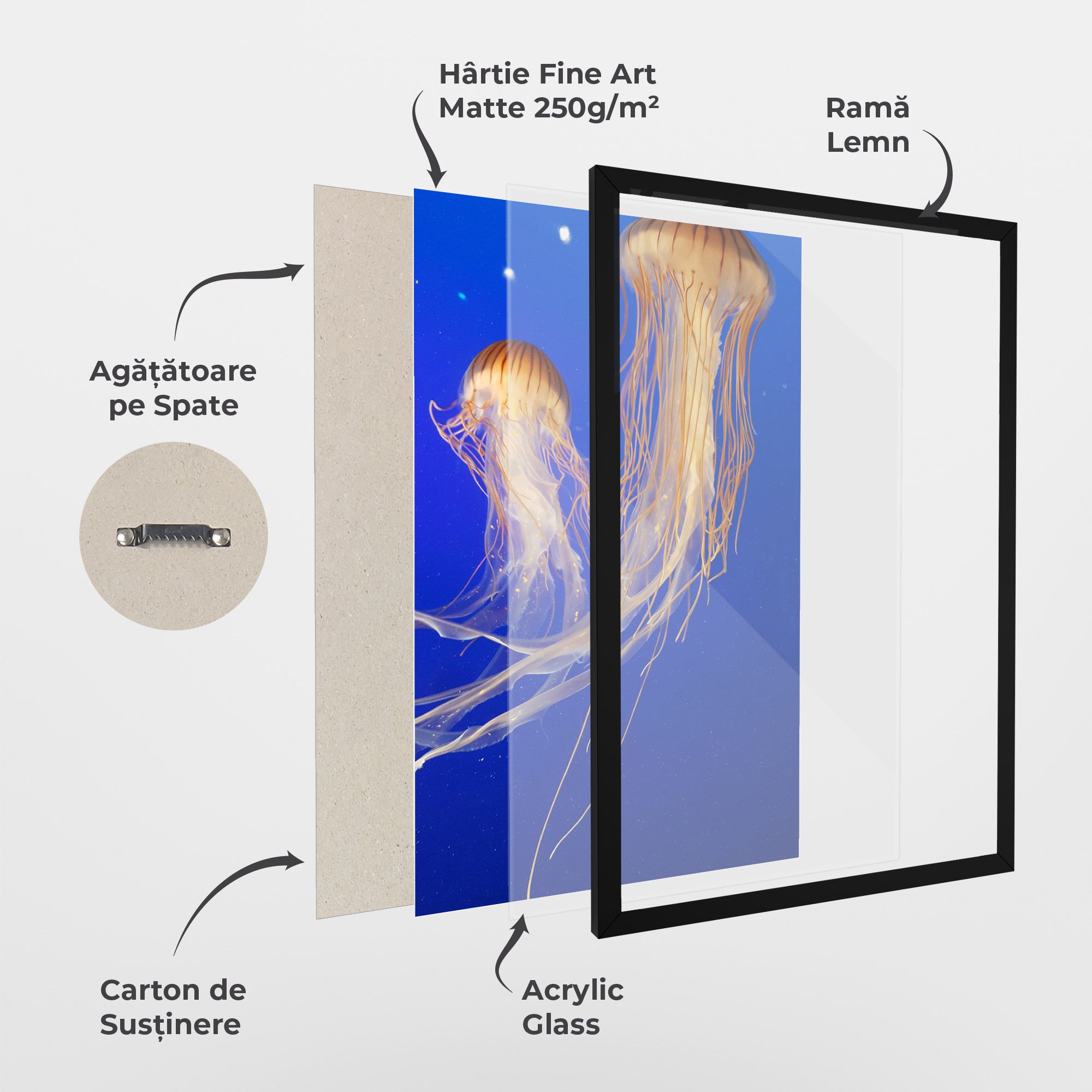 Light Orange Jellyfish mockup 1