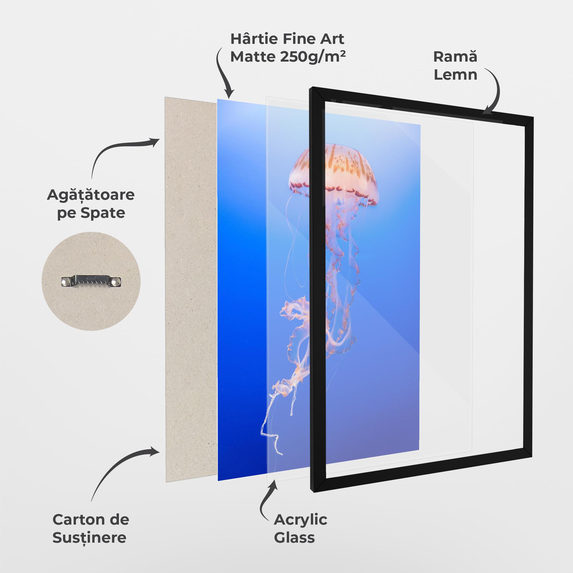 Poster Înrămat Pretty White Jellyfish mockup 1