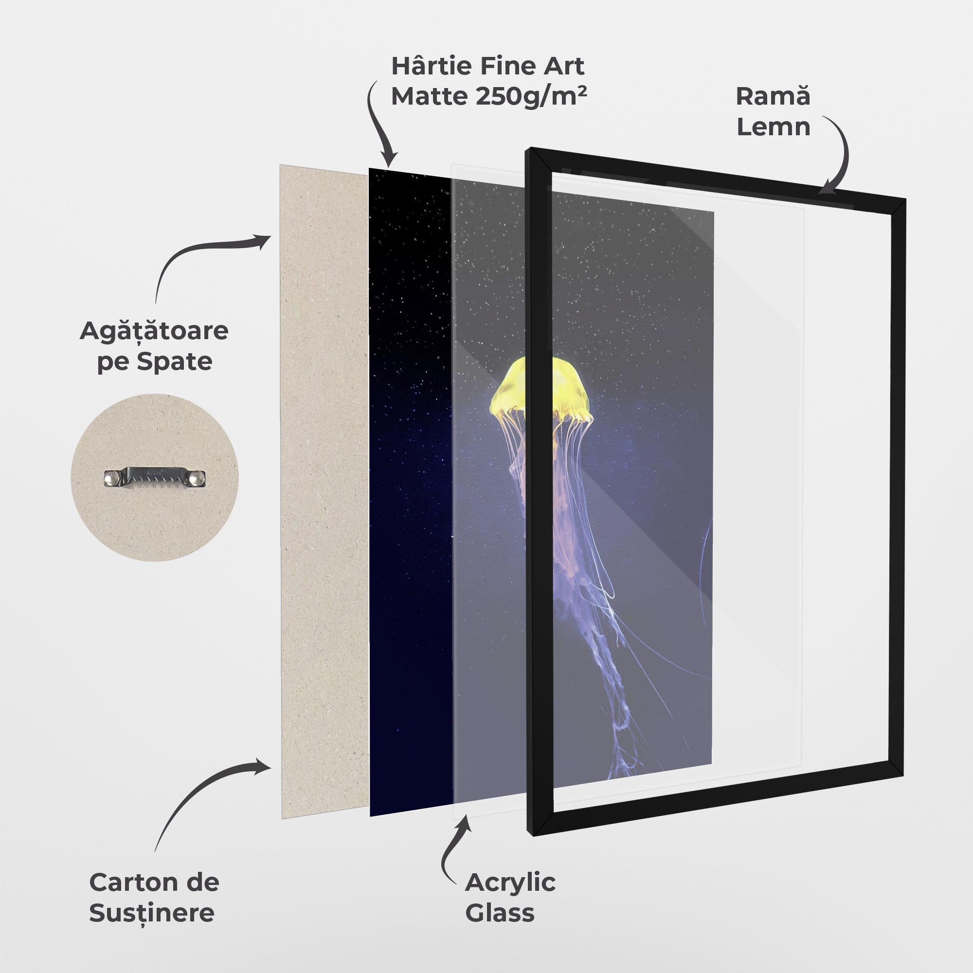 Purple Jellyfish mockup 1