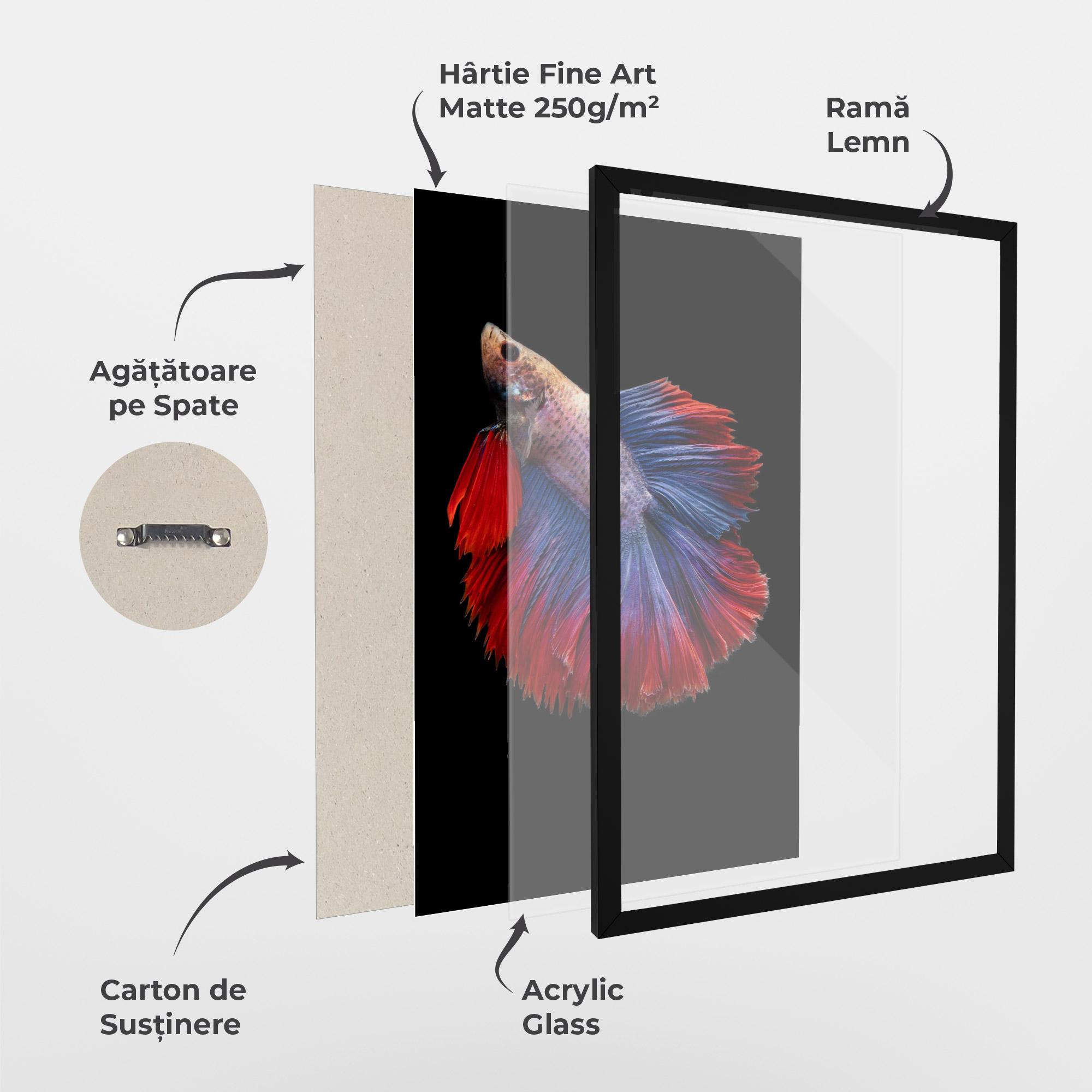 Poster Înrămat Red Blue Betta mockup 1