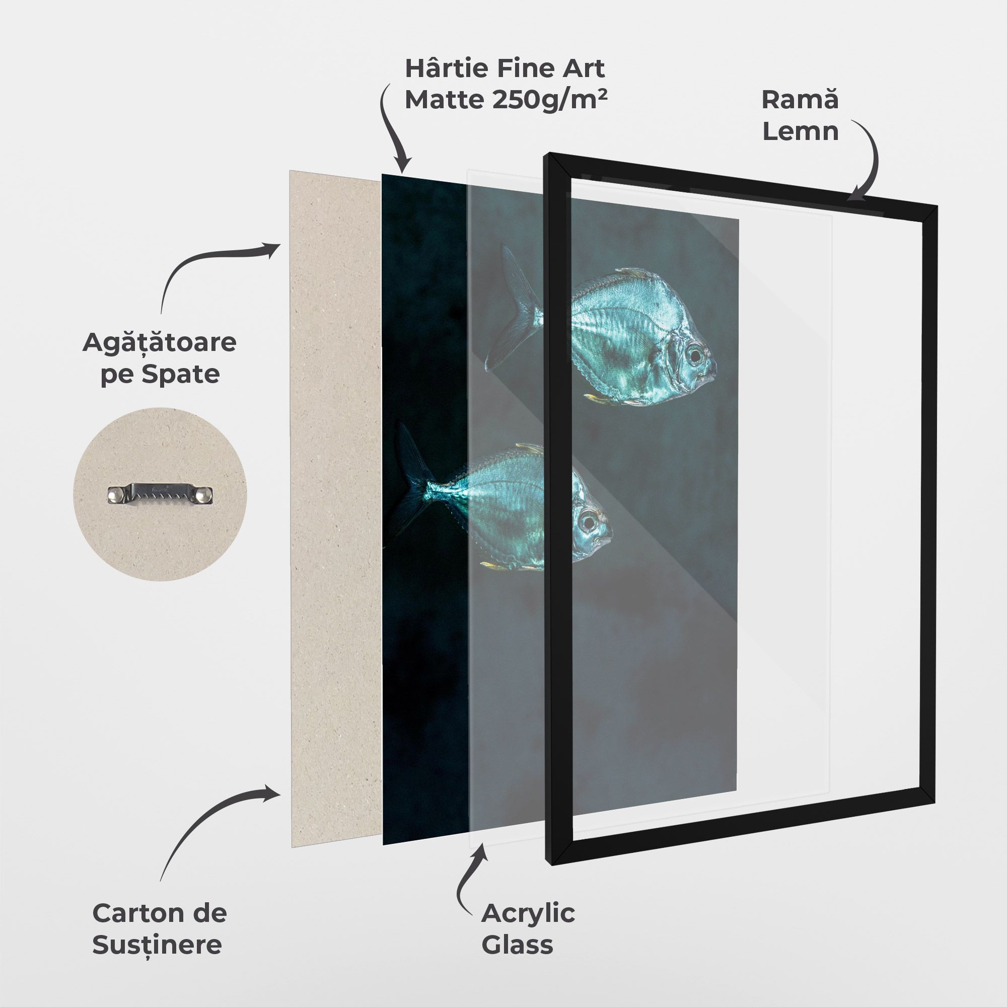 Silver Fish mockup 1