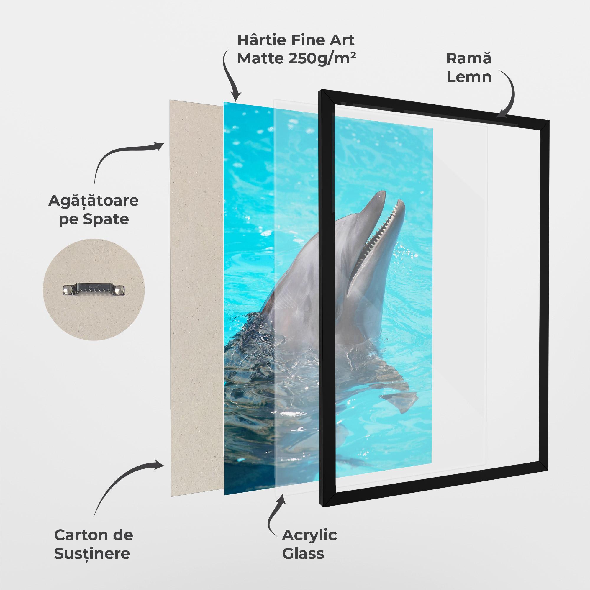 Poster Înrămat Trained Dolphin mockup 1