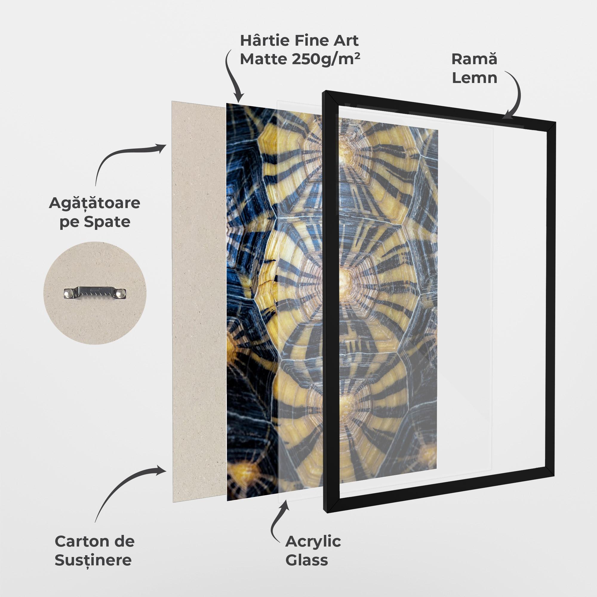 Poster Înrămat Turtle Shell mockup 1