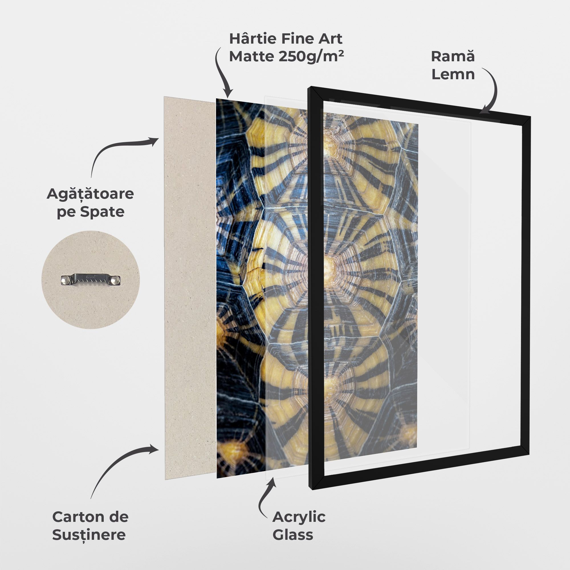 Turtle Shell mockup 1