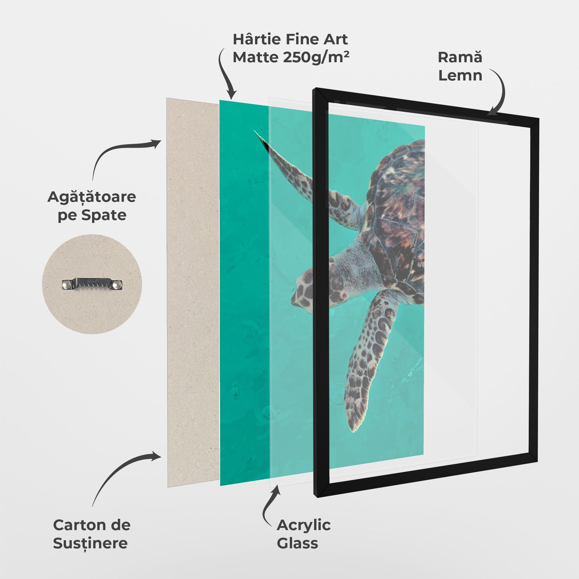 Poster Înrămat Turtle Sweeming mockup 1