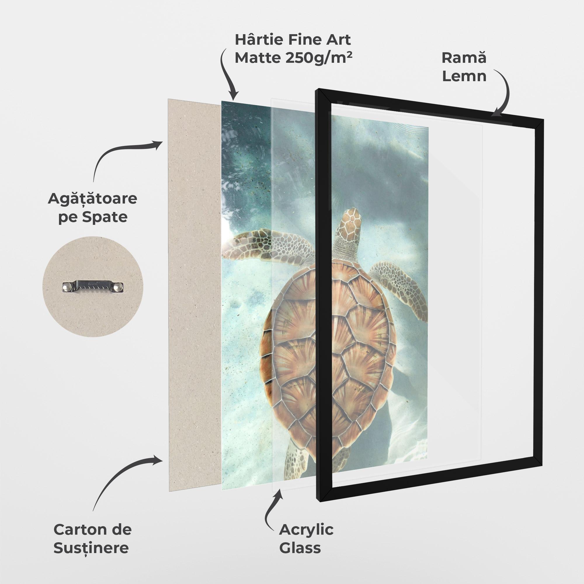 Poster Înrămat Water Tortoise mockup 1