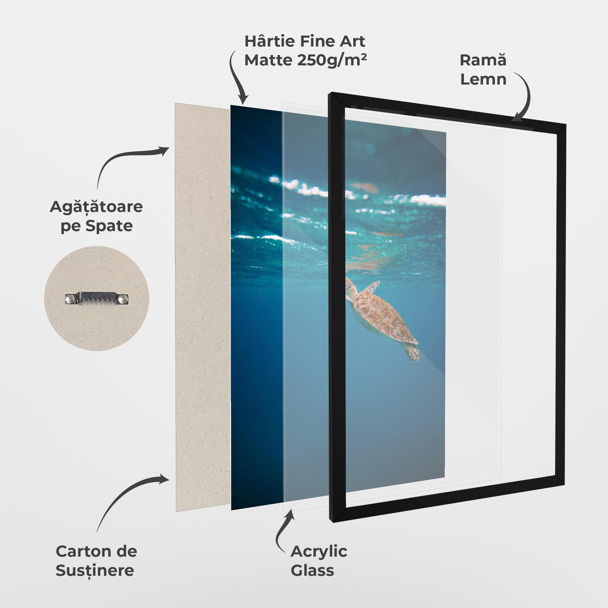 Poster Înrămat Water Turtle mockup 1