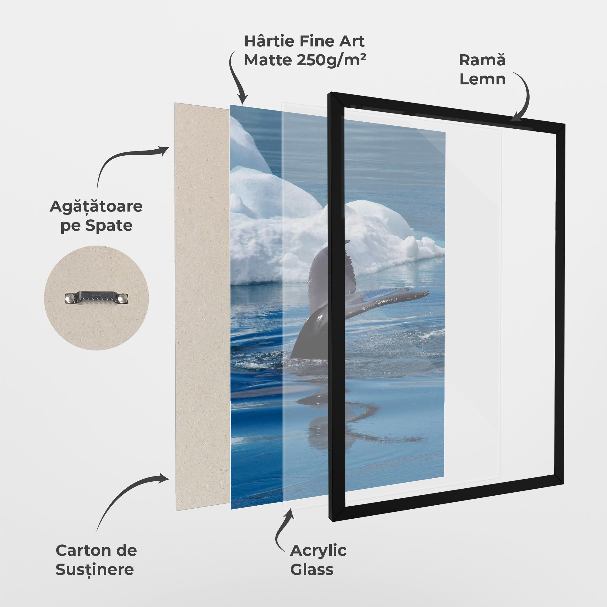 Poster Înrămat Whale Tail mockup 1