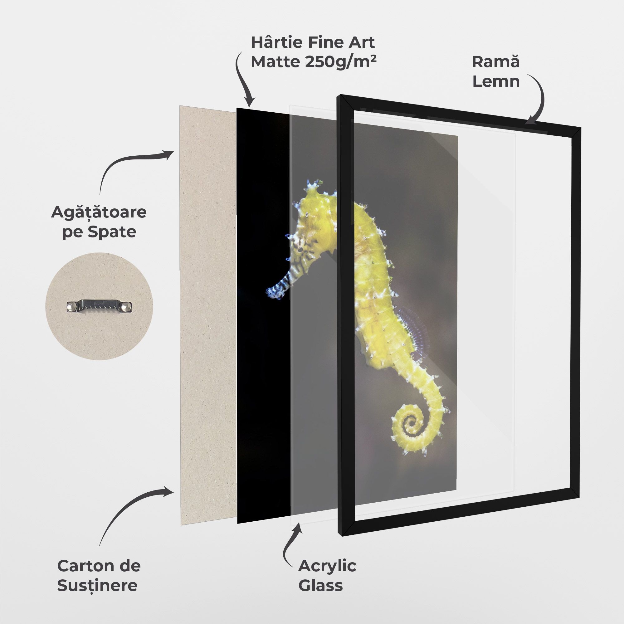 Yellow Seahorse mockup 1