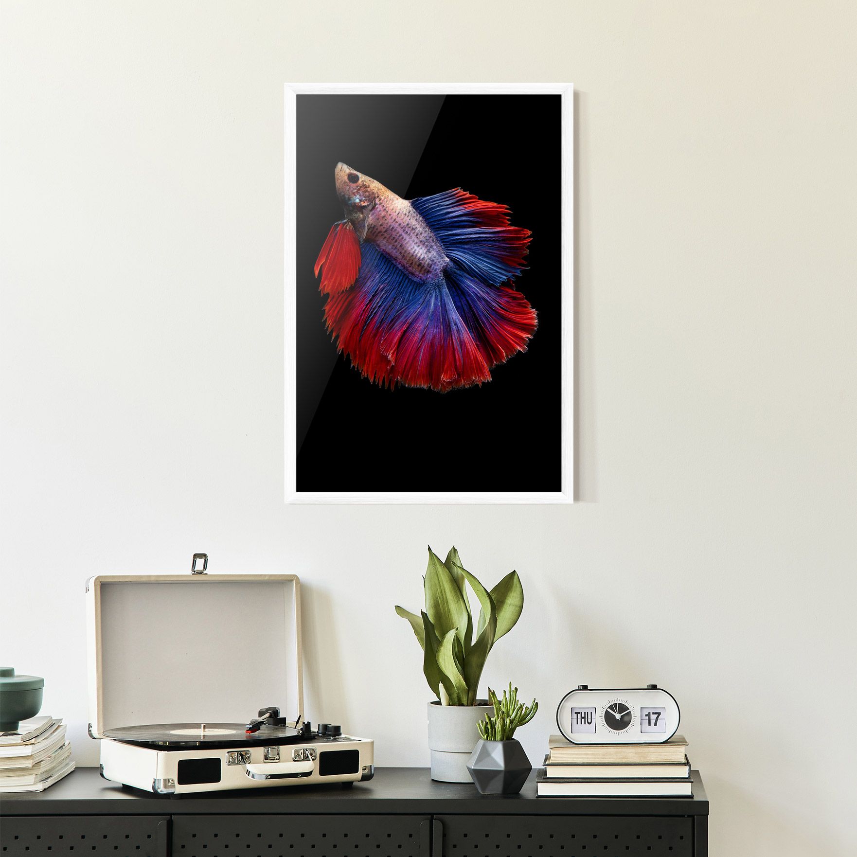 Red Blue Betta mockup 2