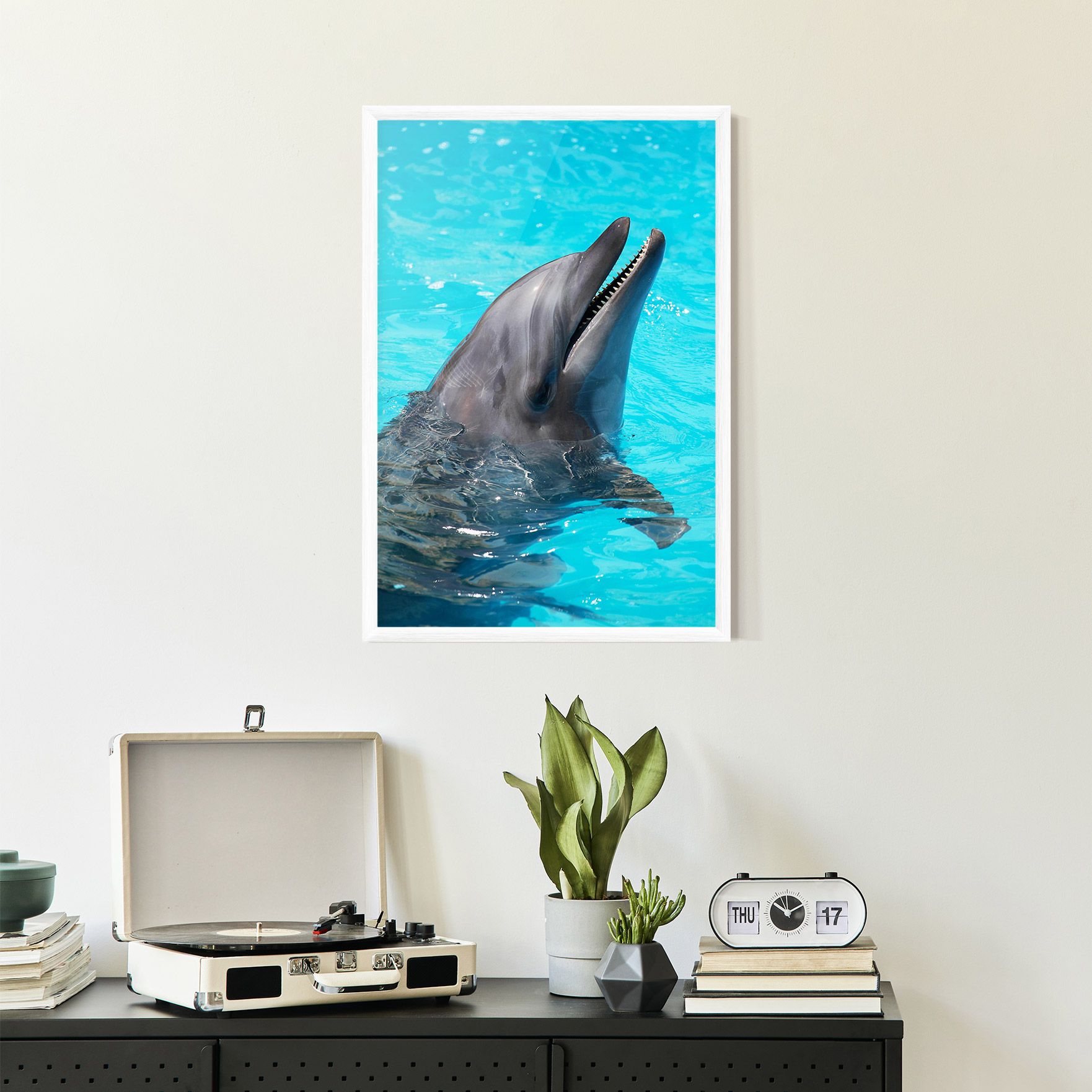 Trained Dolphin mockup 2