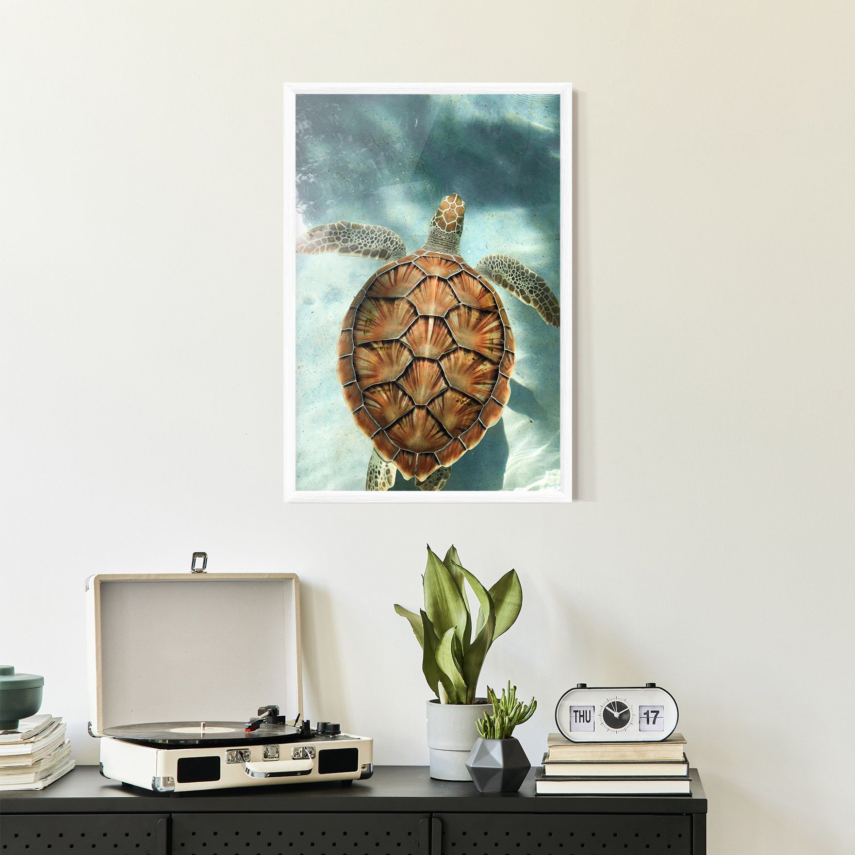 Water Tortoise mockup 2