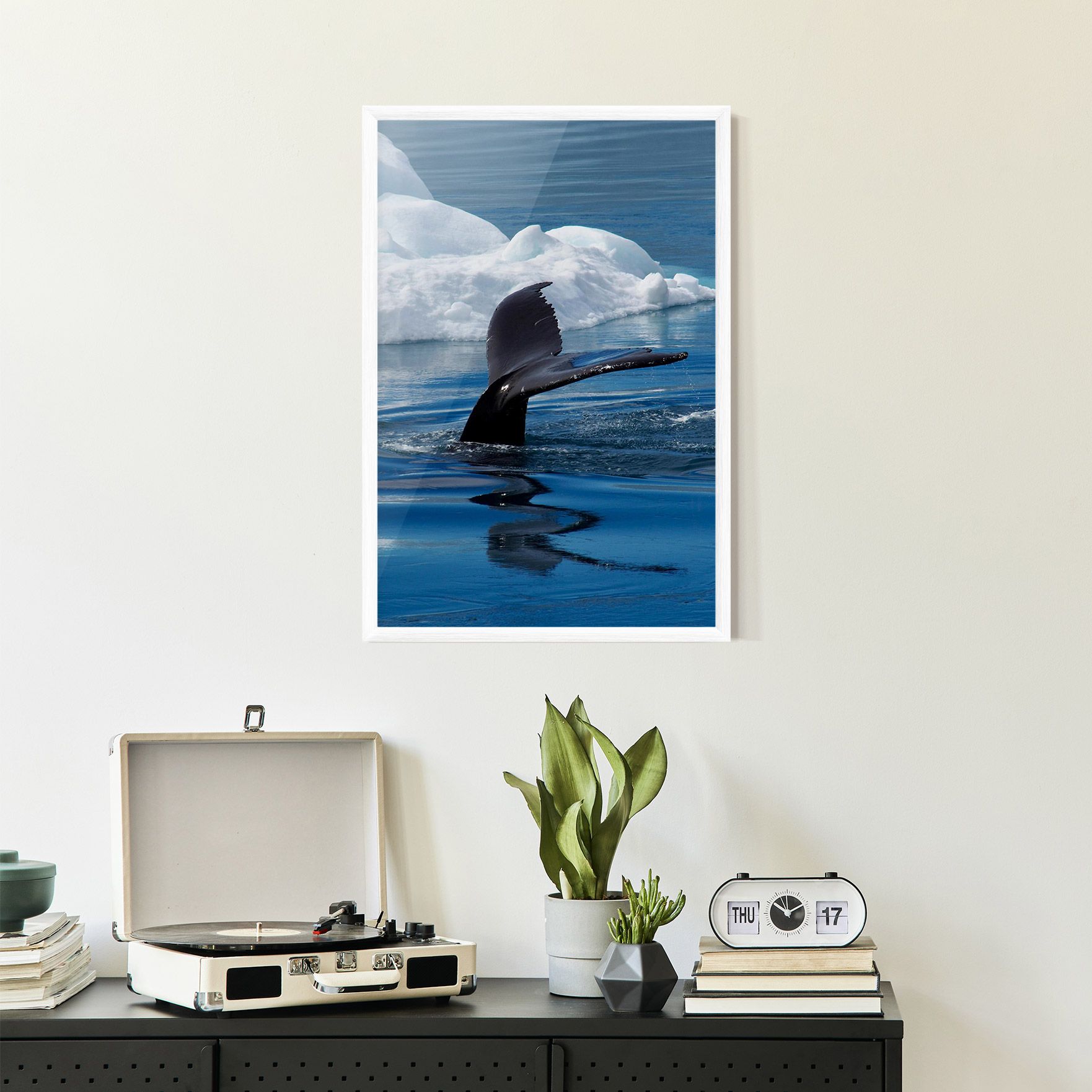 Whale Tail mockup 2