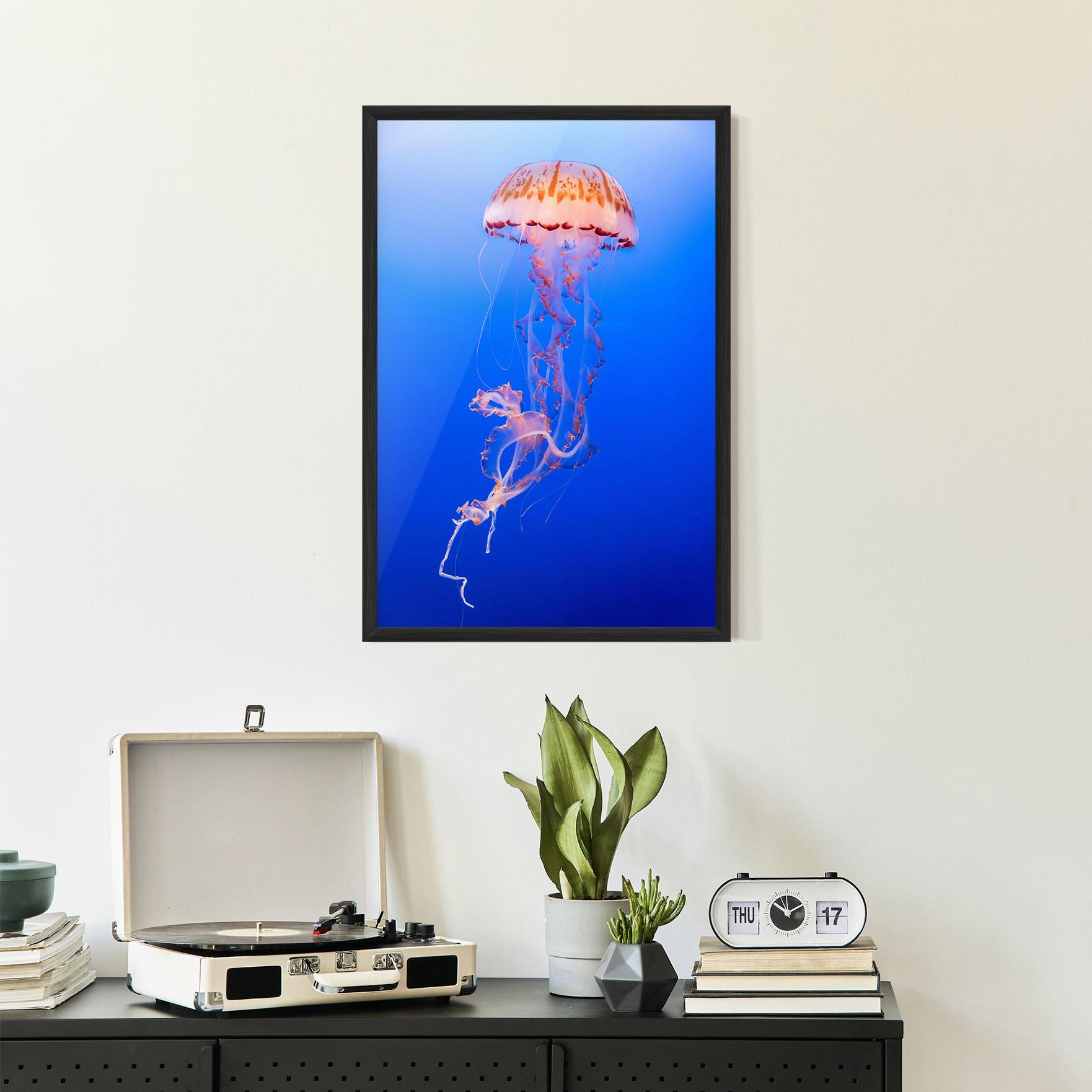 Poster Înrămat Pretty White Jellyfish mockup 2