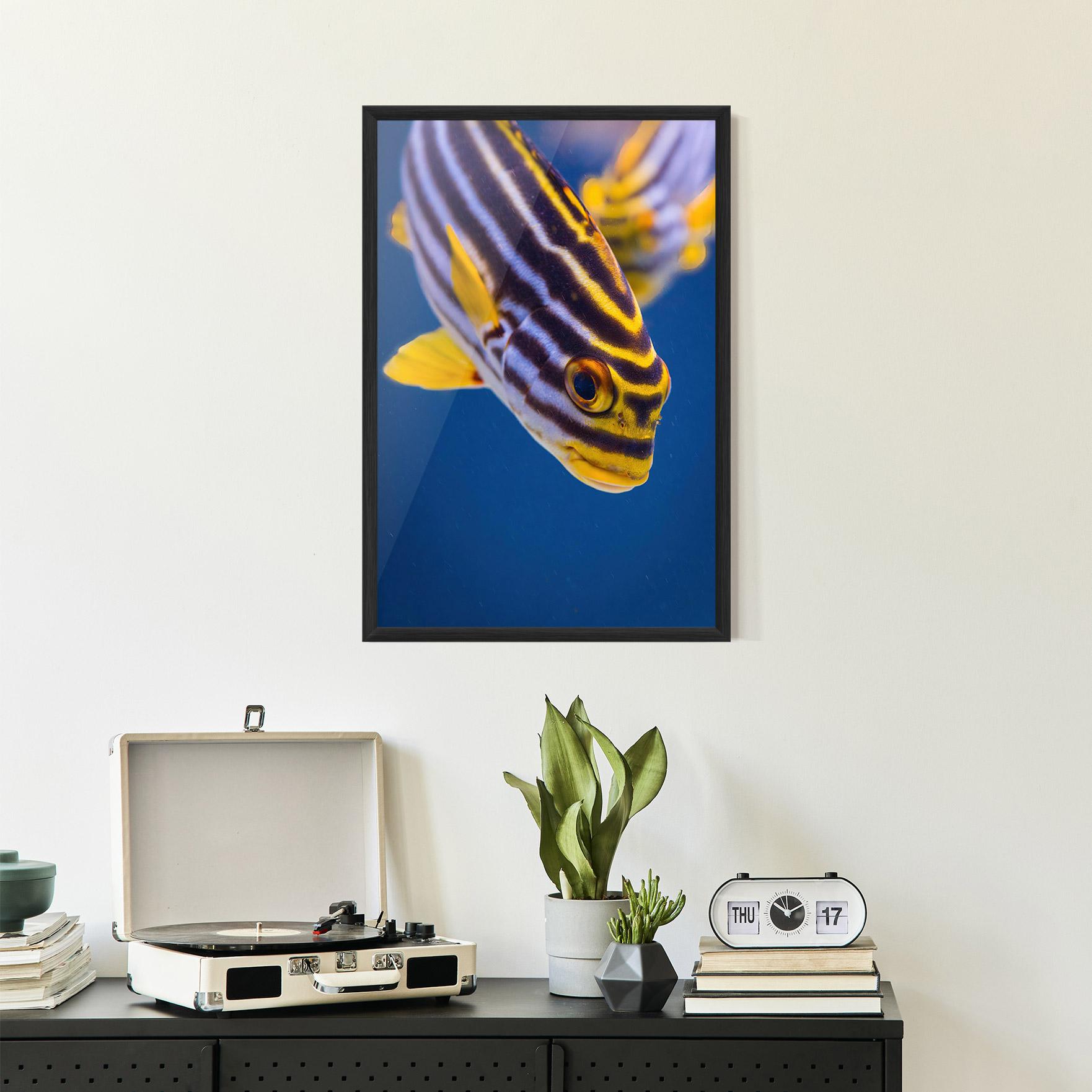 Poster Înrămat Purple Yellow Fish mockup 2