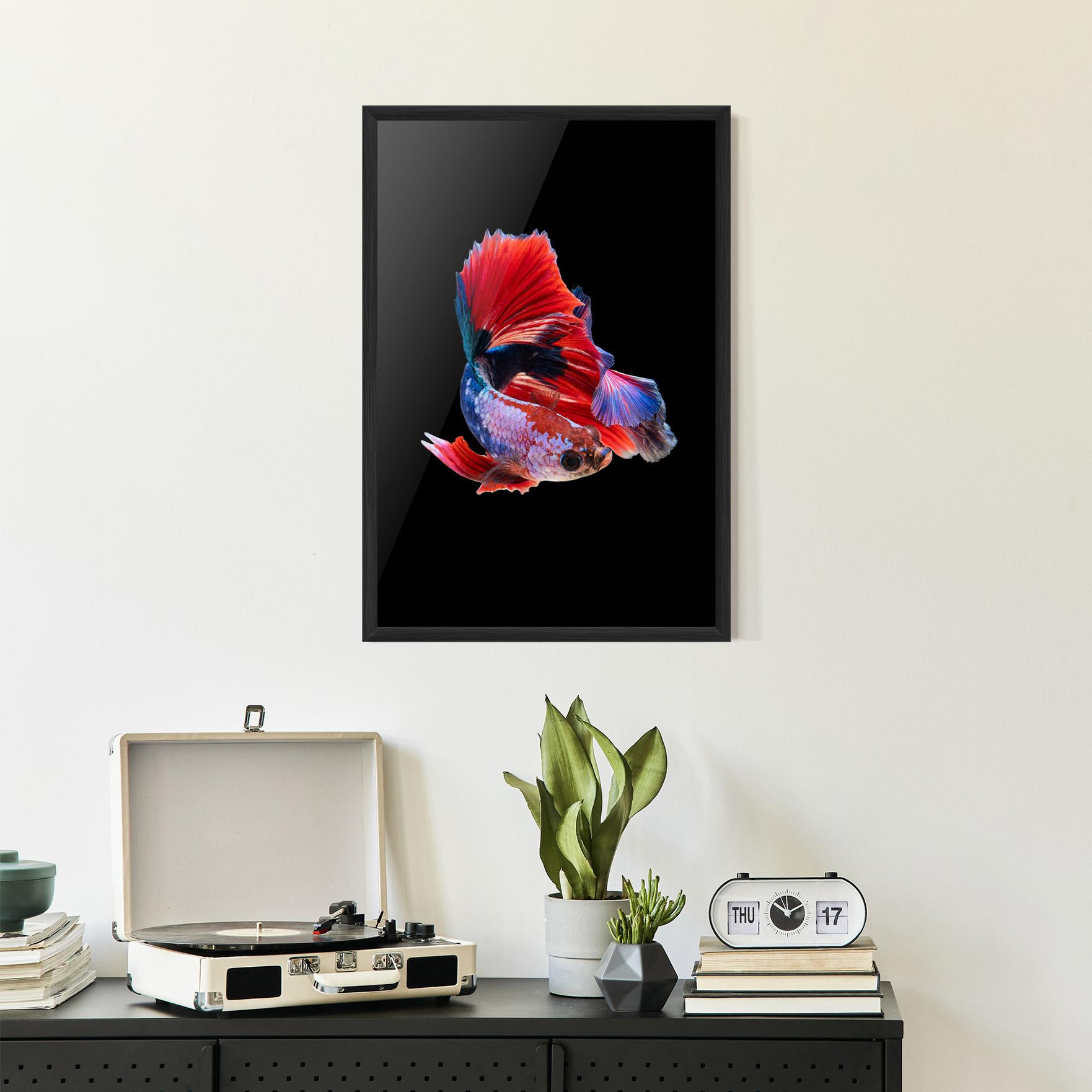 Poster Înrămat Red Black Betta mockup 2