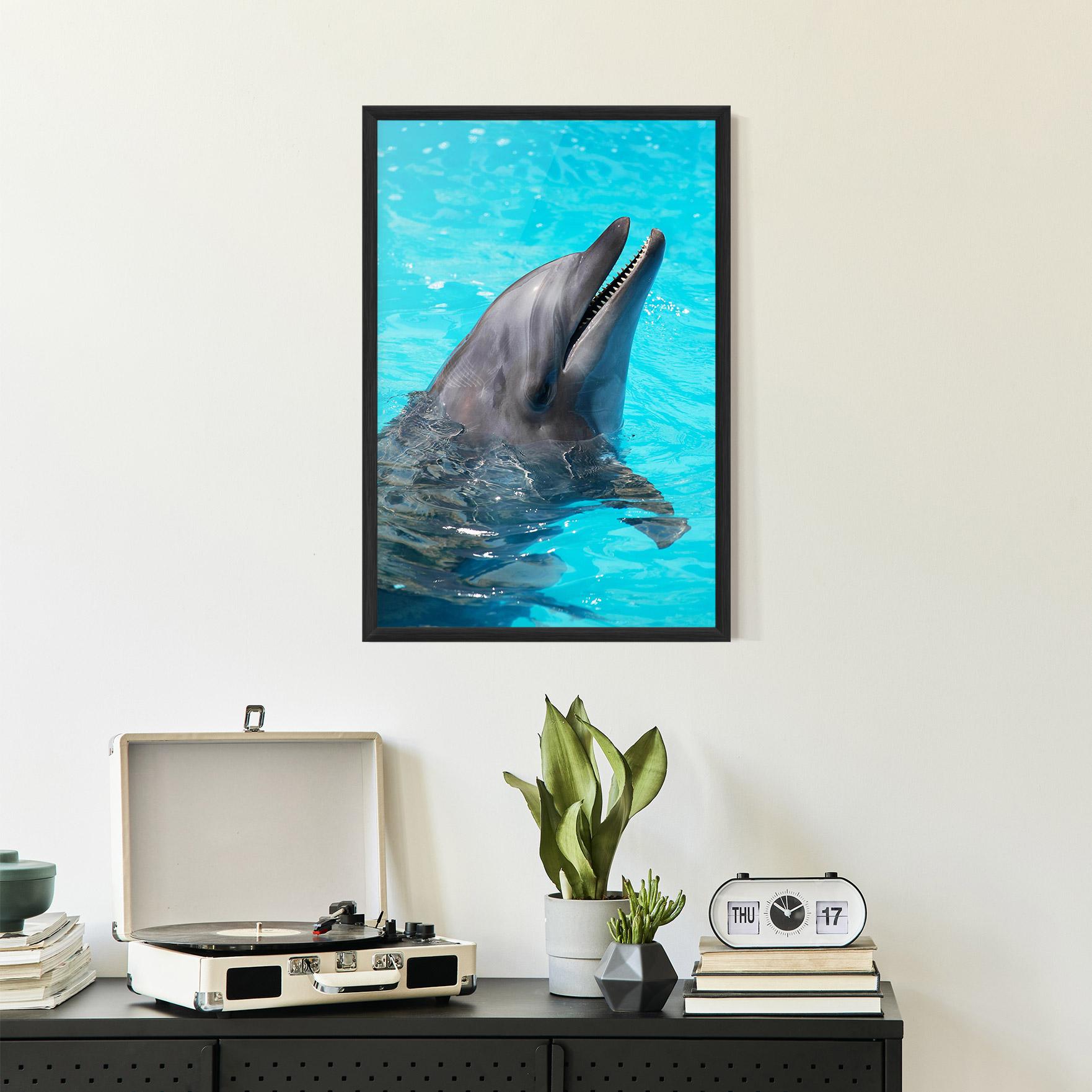 Poster Înrămat Trained Dolphin mockup 2