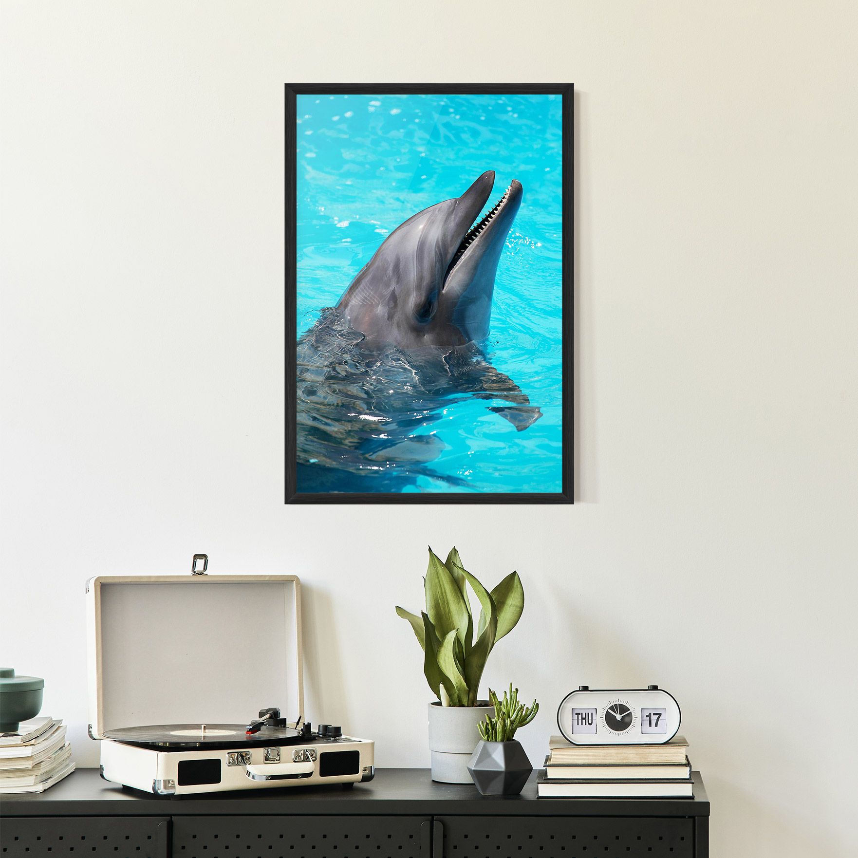 Trained Dolphin mockup 2