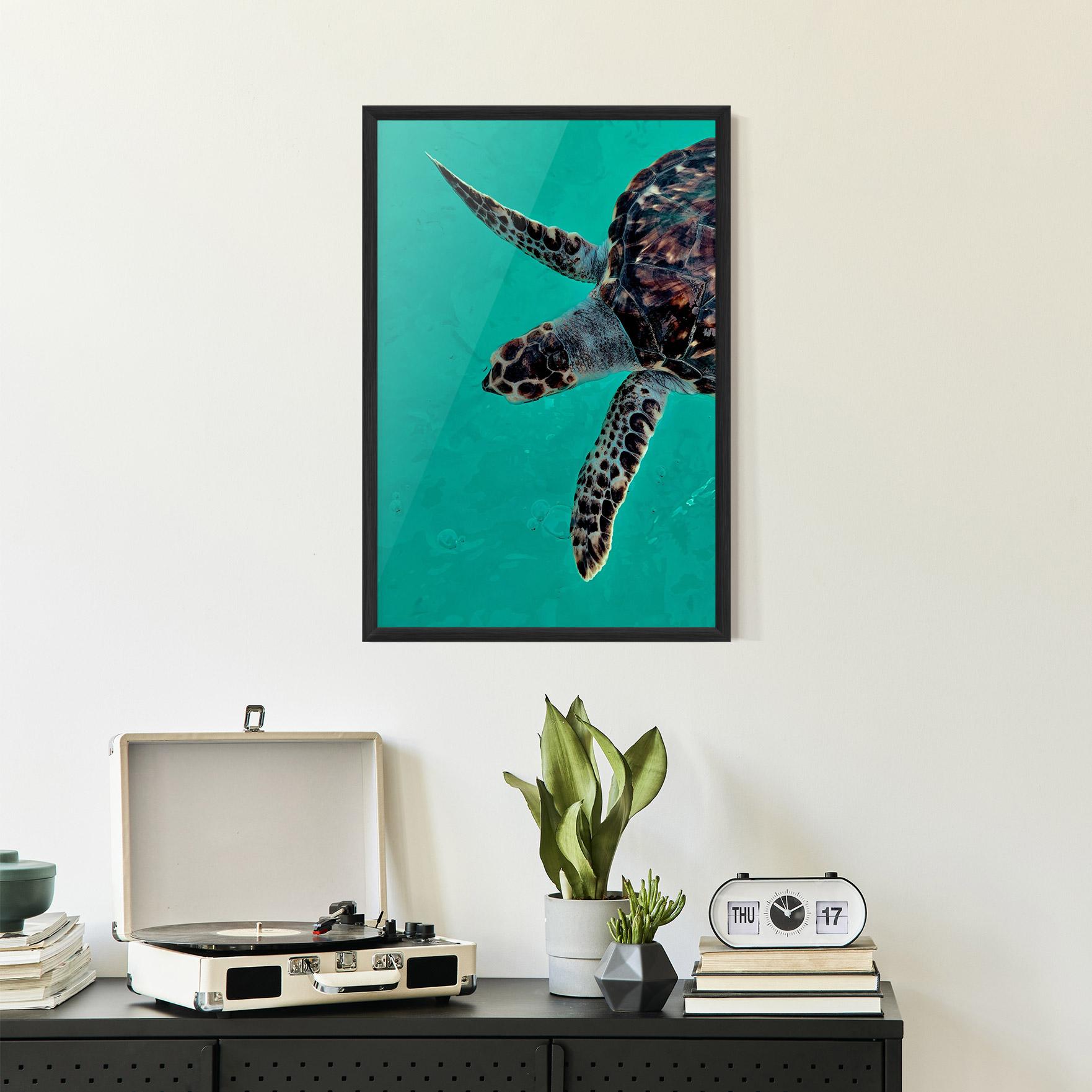 Poster Înrămat Turtle Sweeming mockup 2