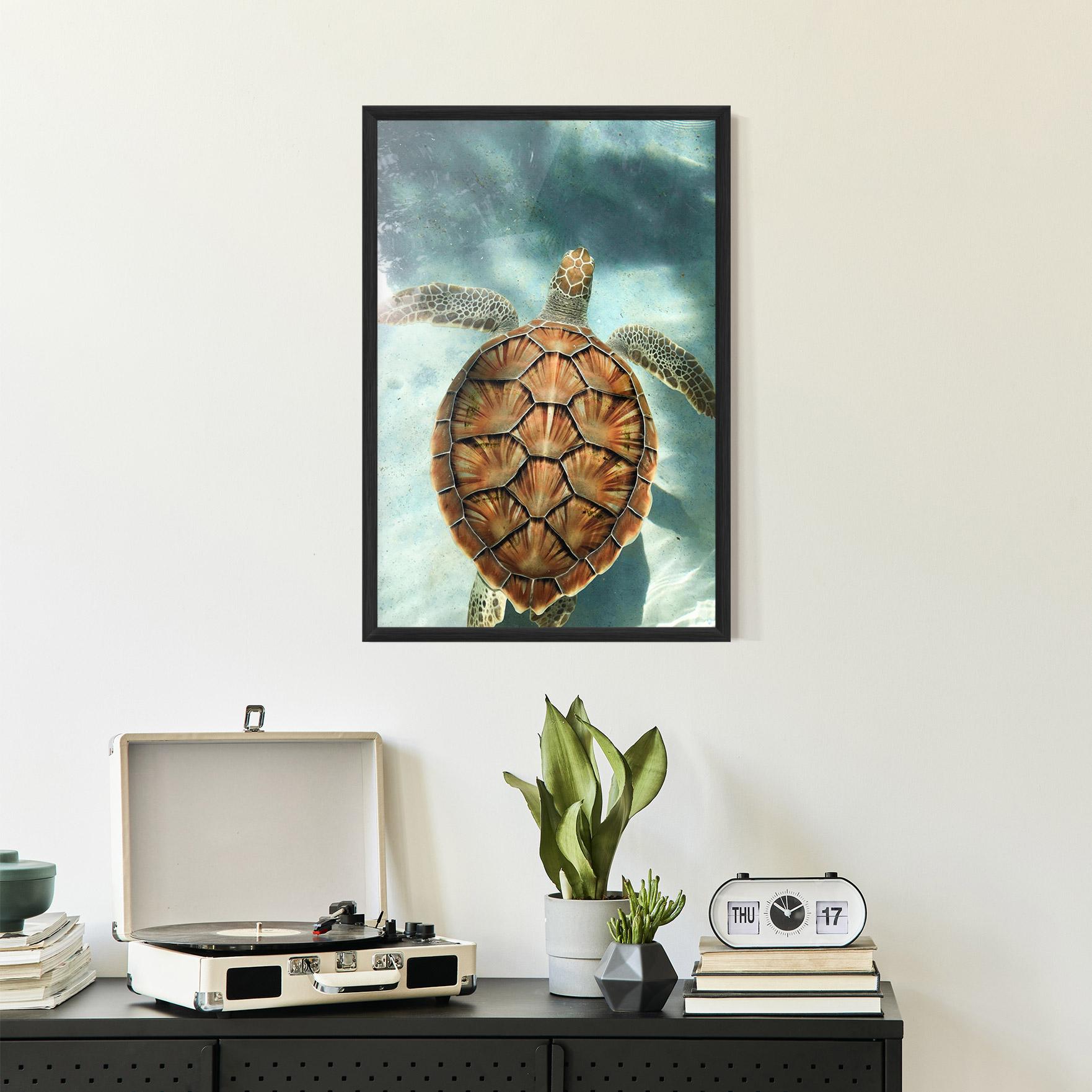 Poster Înrămat Water Tortoise mockup 2